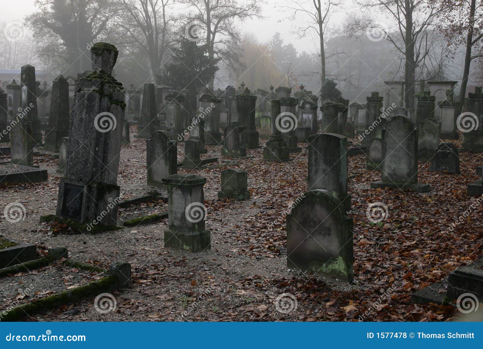 a graveyard