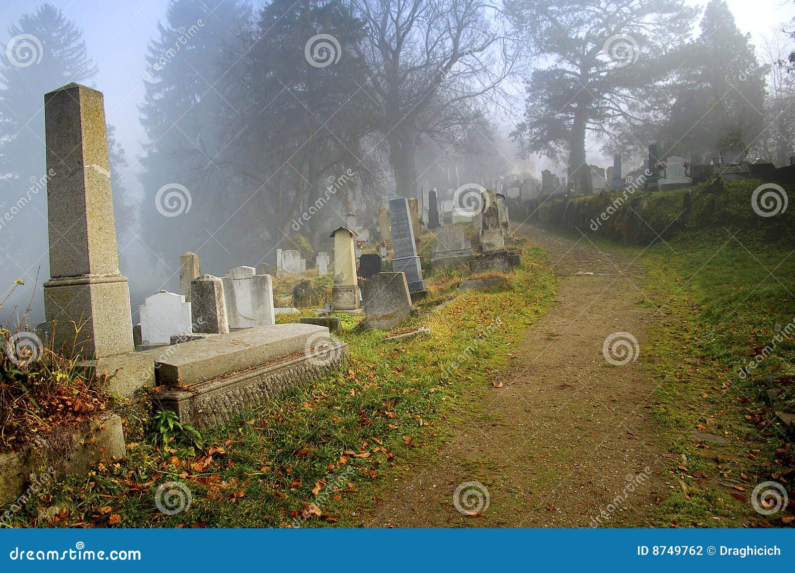 graveyard in transylvania