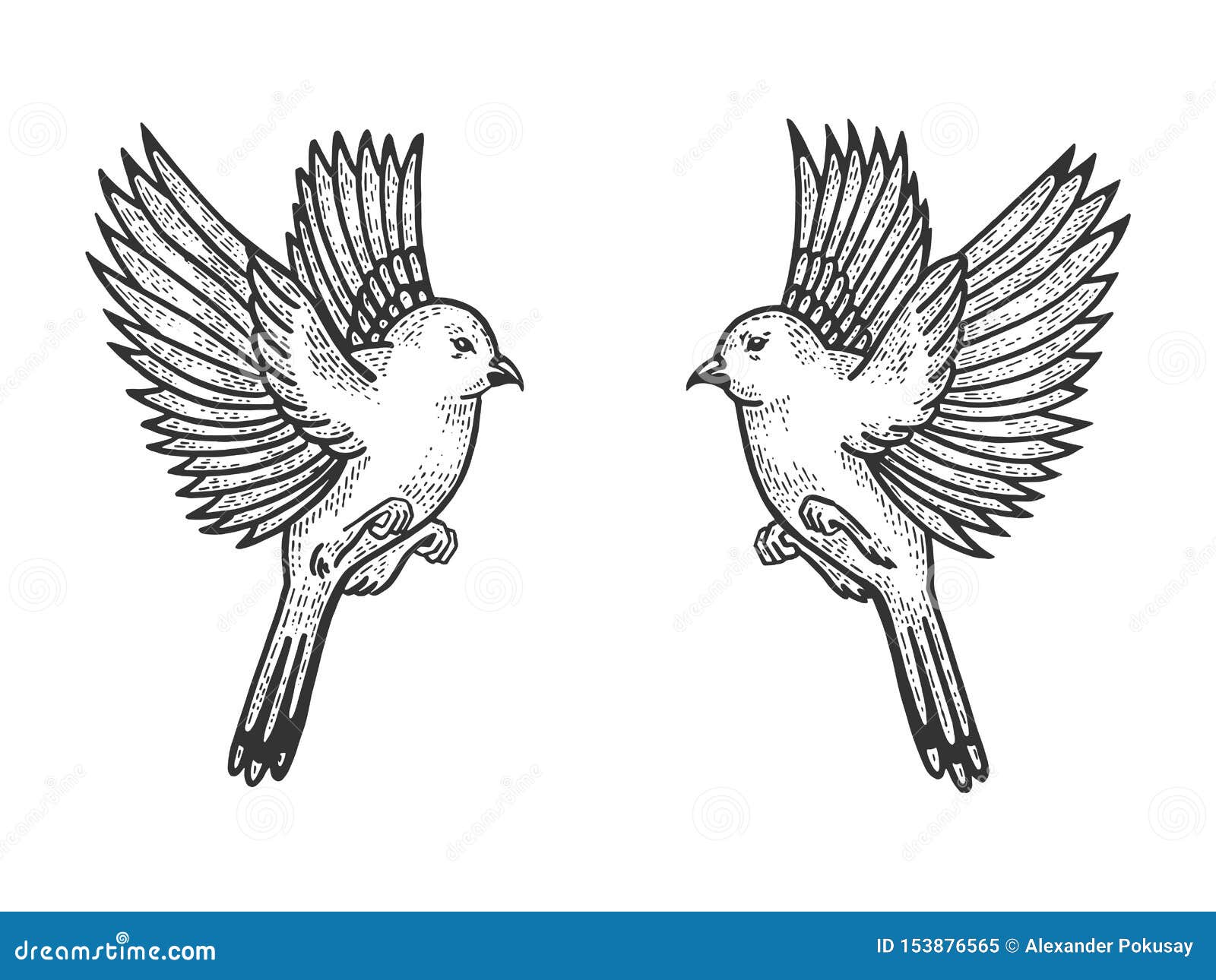 Tatuagem Desenho Linha artística Artes visuais Esboço, tatuagem de rosas, histórias em quadrinhos, rosto, outros png | PNGWing