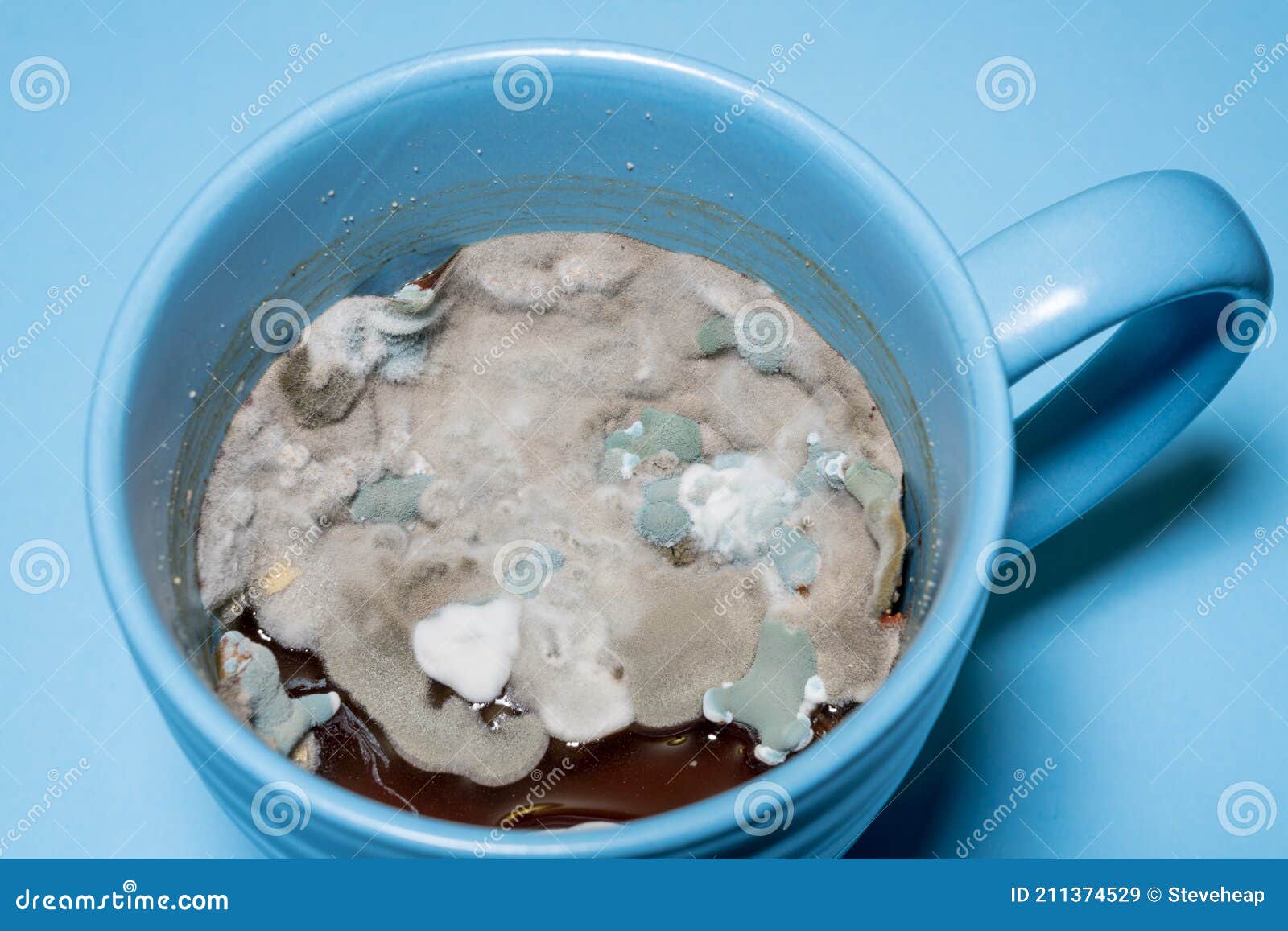 Gravy Growing Many Types of Mould and Fungus Inside Blue Coffee