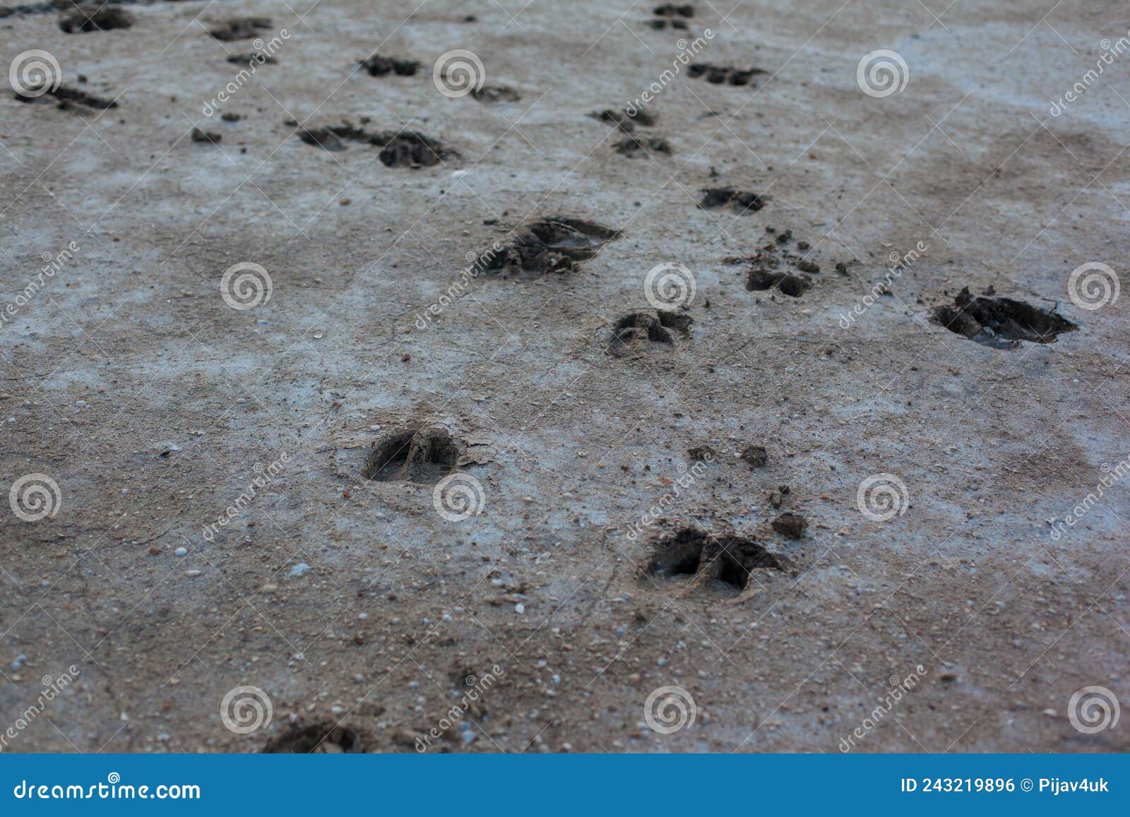 gray background with cracks and hollows