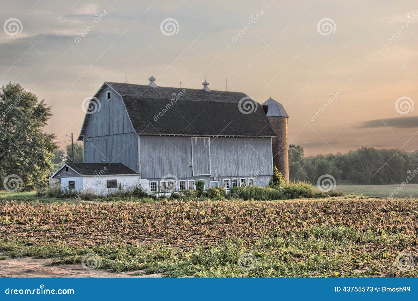 Gray Barn stock image. Image of farm, farming, weeds 43755573