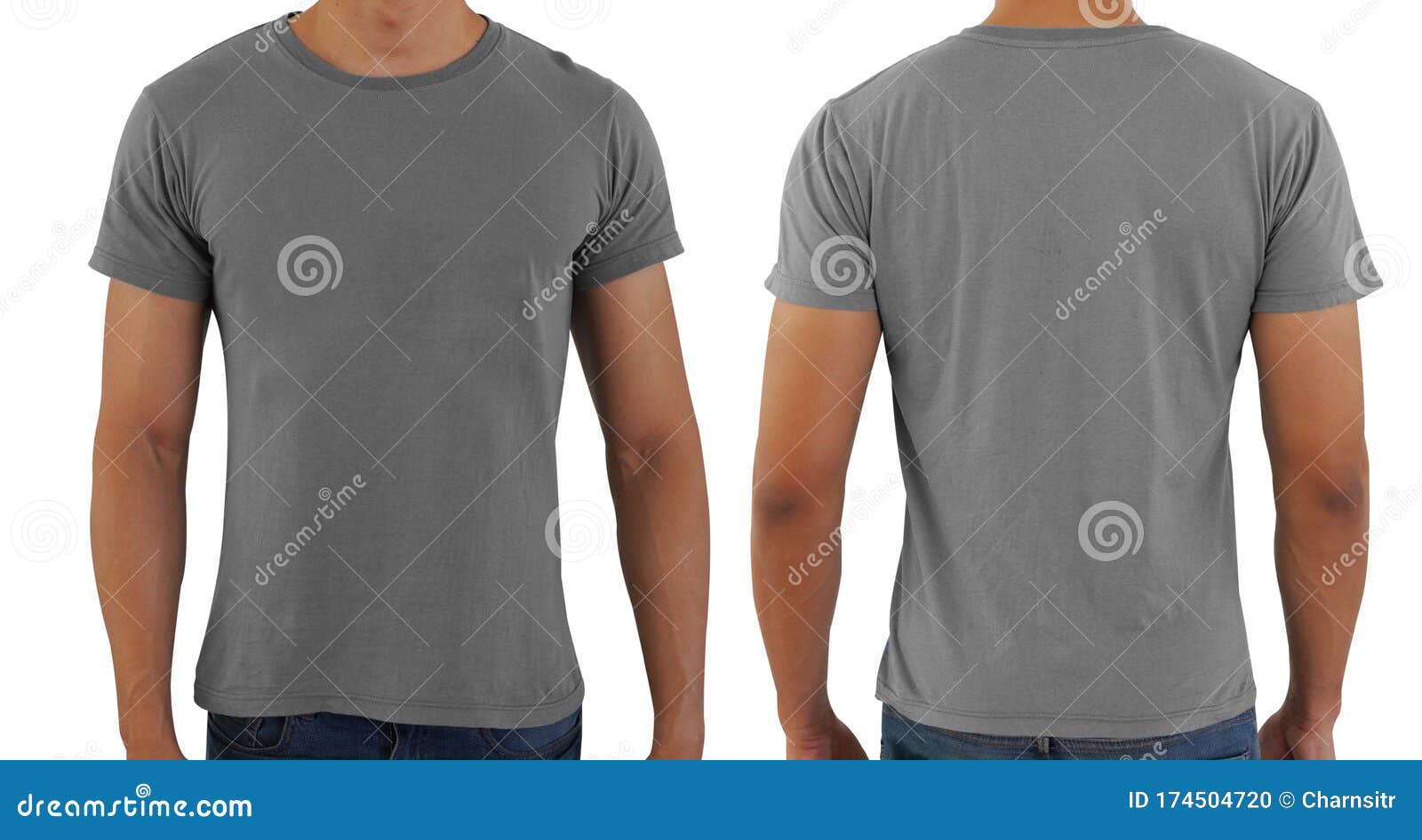 Gray Blank Copy Space T-shirt on a Man Body Template Stock Photo ...