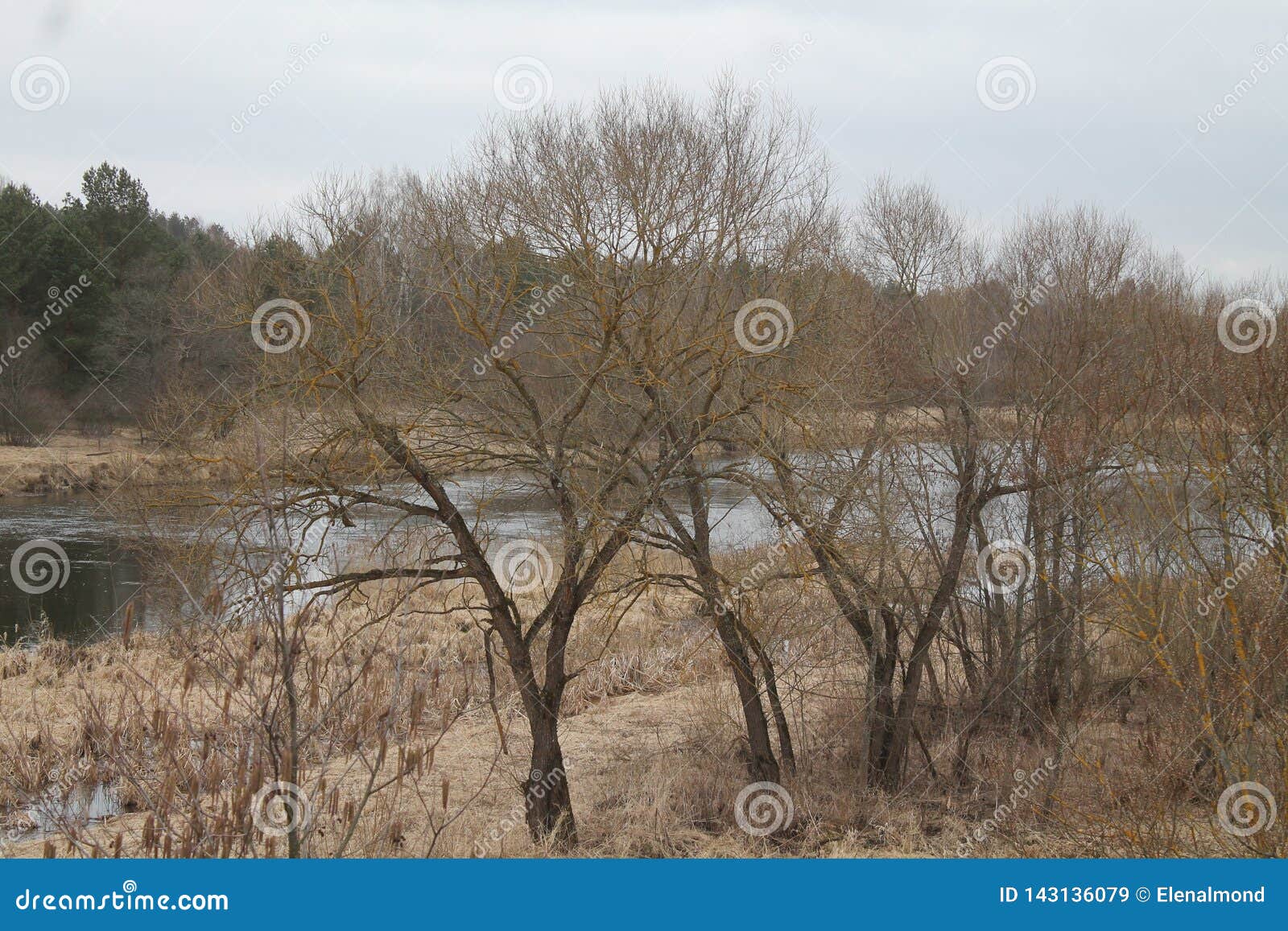 First day of spring stock image. Image of europe, harmony 143136079