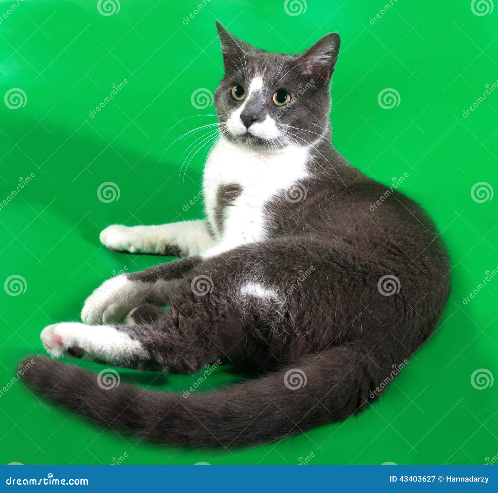 My Image 18