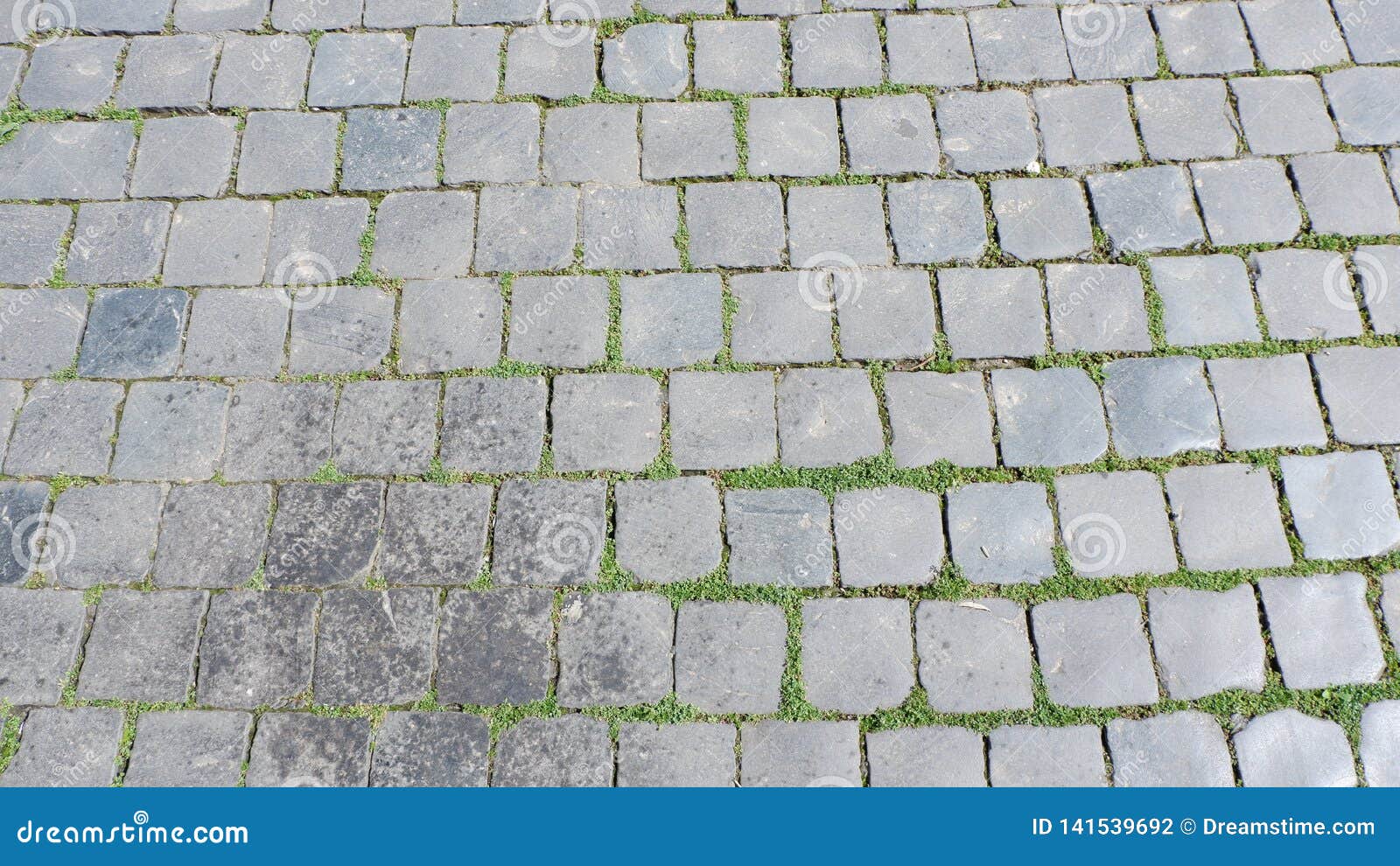 cobblestone path moss gray tarnished
