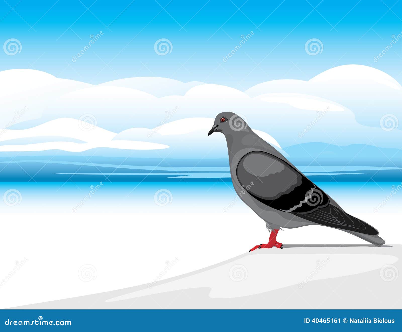 gray dove on a skyscape background