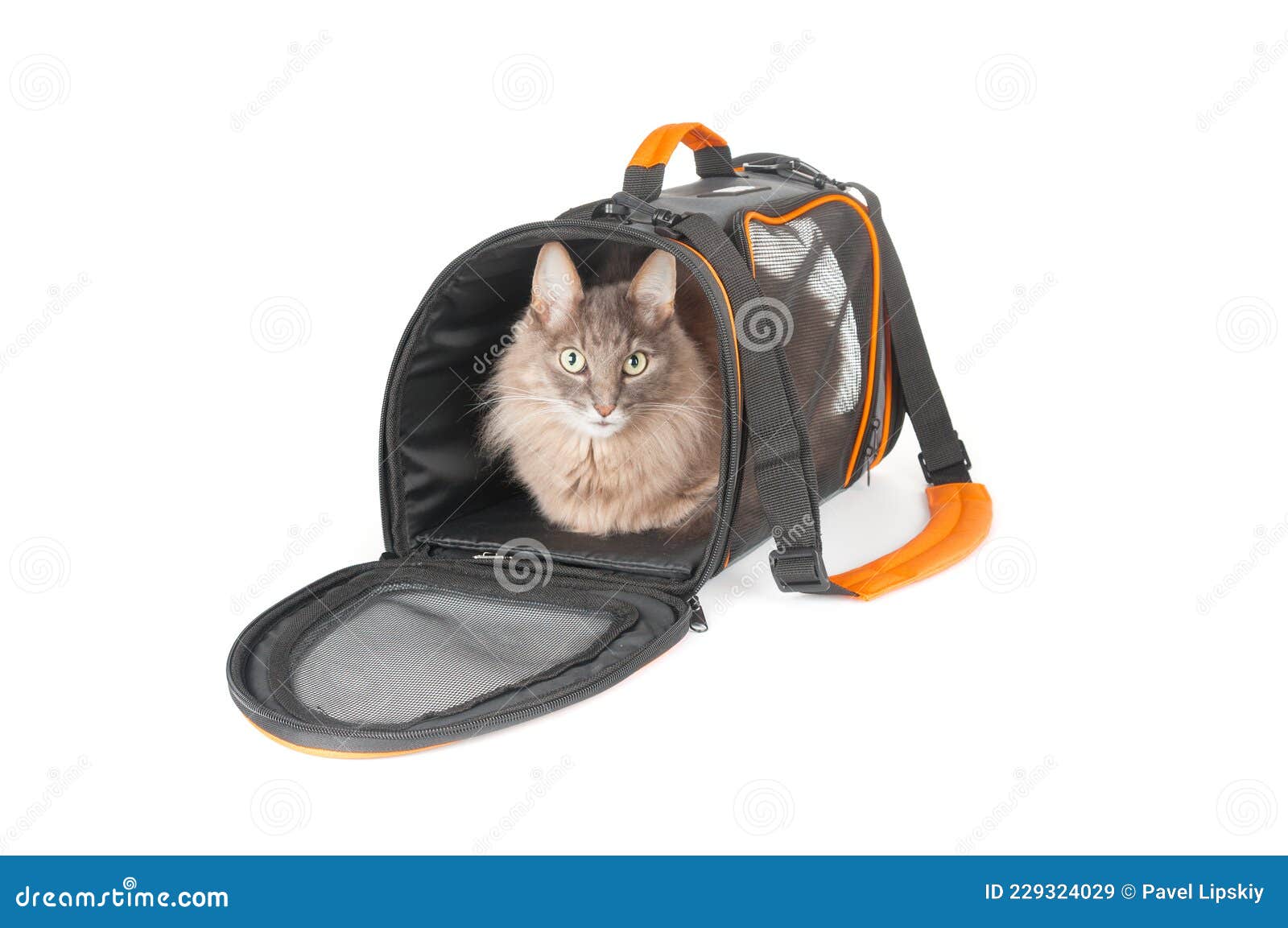 fluffy cat backpack