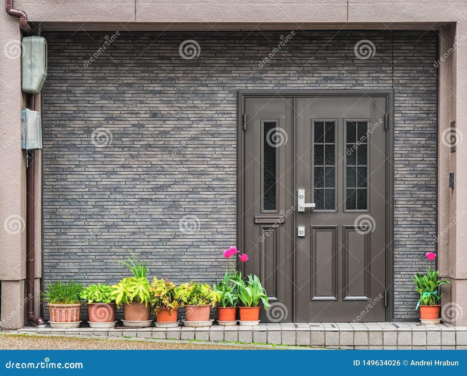 gray front door with small square decorative windows and flower pots in fron of it