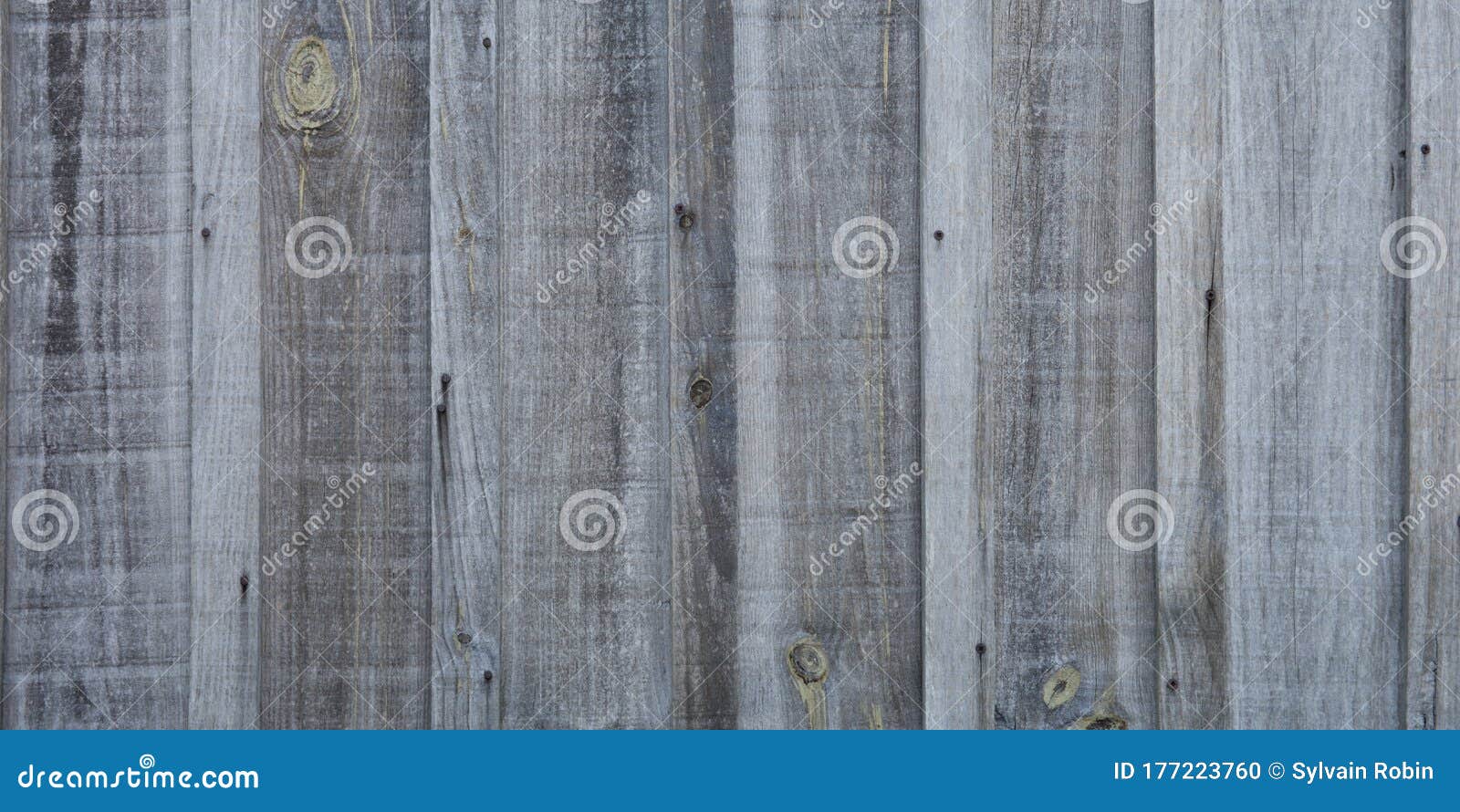Gray Natural Texture Light Grey Wood Background for Wooden Plank Panel