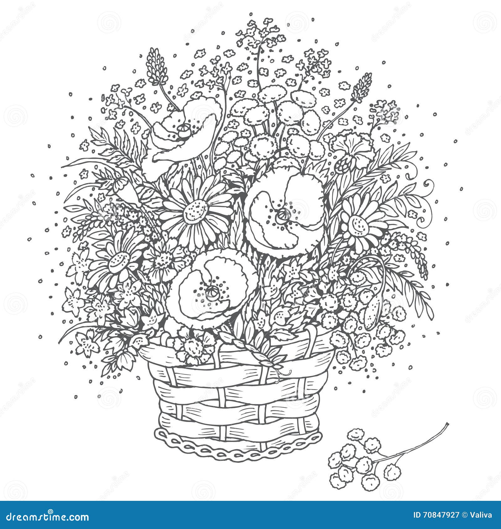 Download Gray Outlines Bouquet Of Wild Flowers In A Basket. Stock Vector - Illustration of decor ...