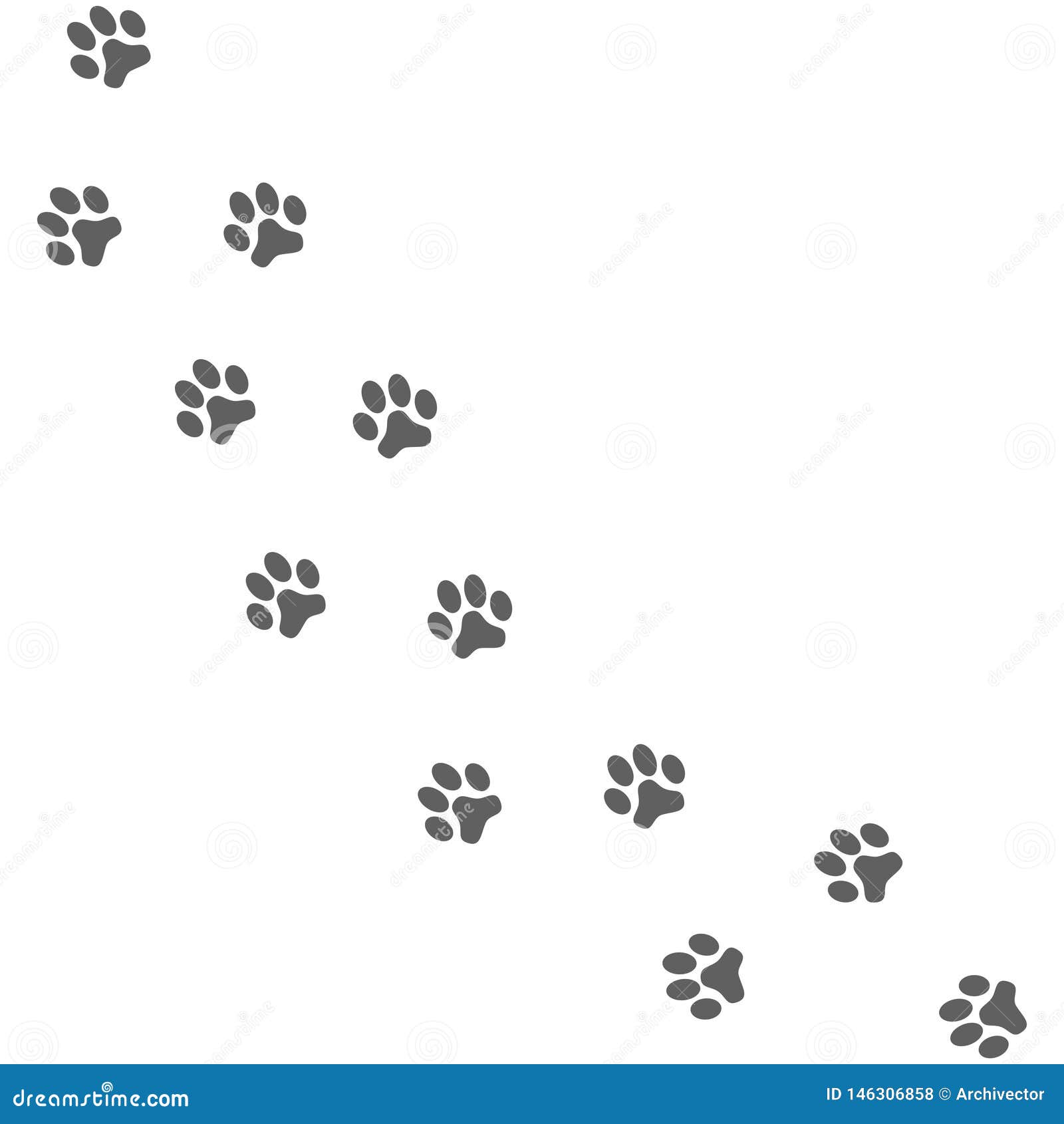 paws prints. dog path