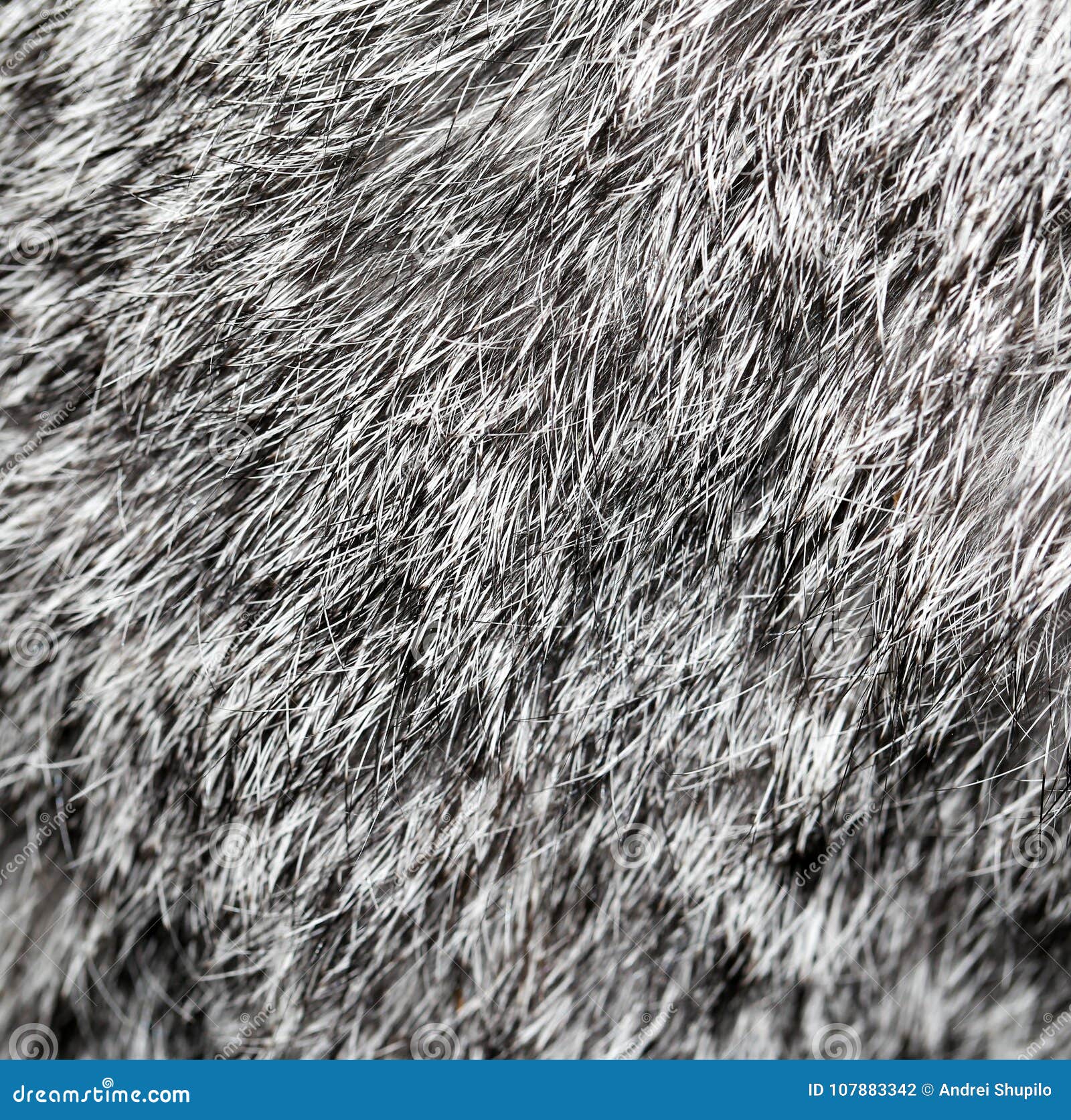 Gray Rabbit Fur As Background Stock Photo - Image of closeup, animal ...