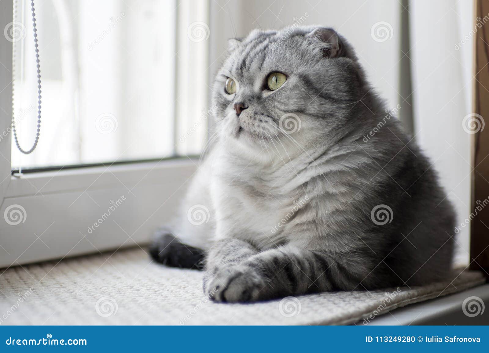 Fold Escocés - Issuu, image size:1600x1157