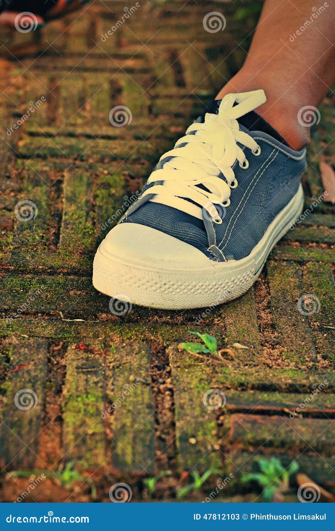 Gray Sneakers - Accessories and Wearable (Sneakers). Stock Image ...