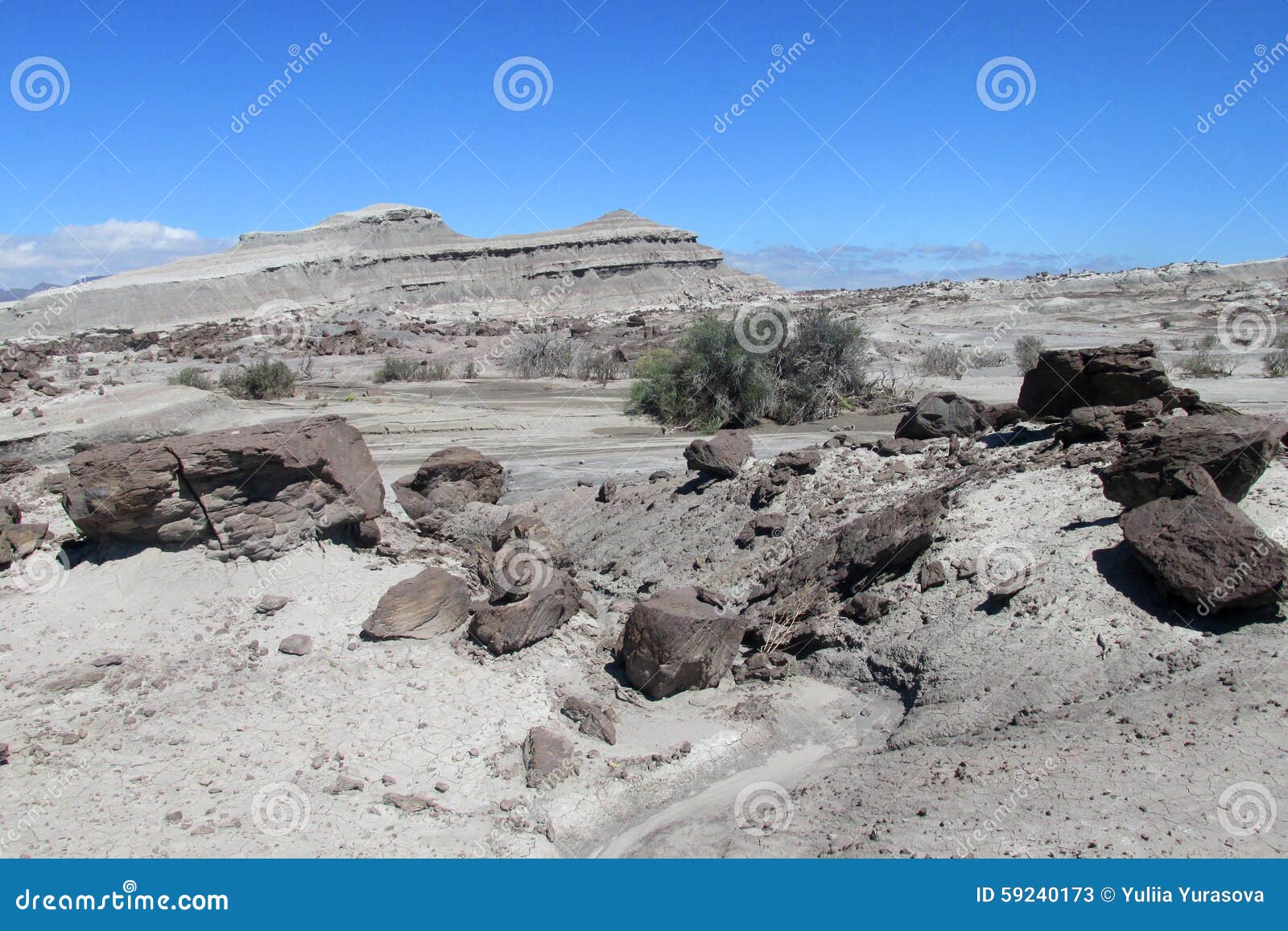 gray stone desert