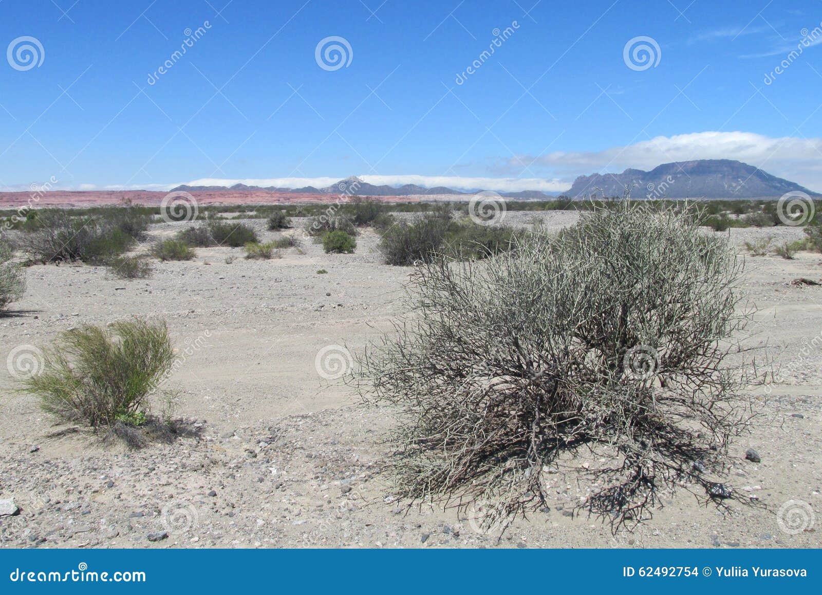 gray stone desert