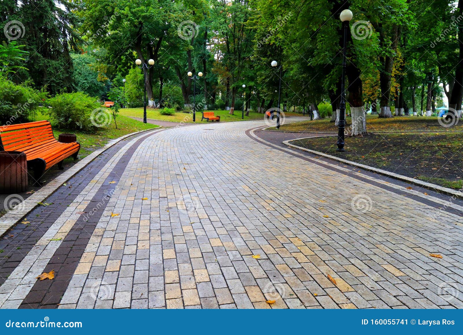 gray stone walkway in the morning autumn park with orange benches. mariinsky park near the parliament of ukraine, verkhovna rada,