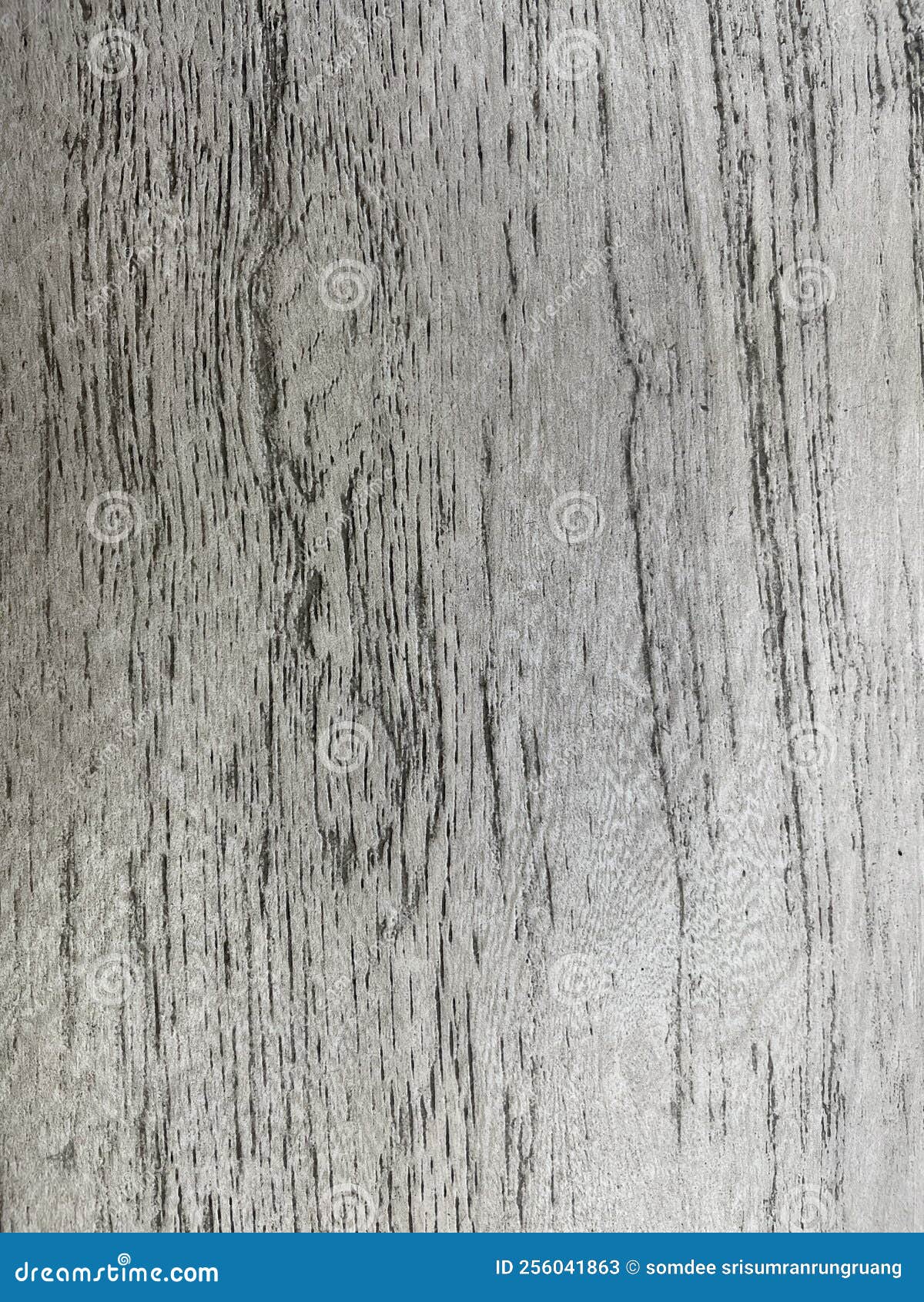 Gray Table Wood Grain Background, Old Wood Texture a Cracked Pattern of