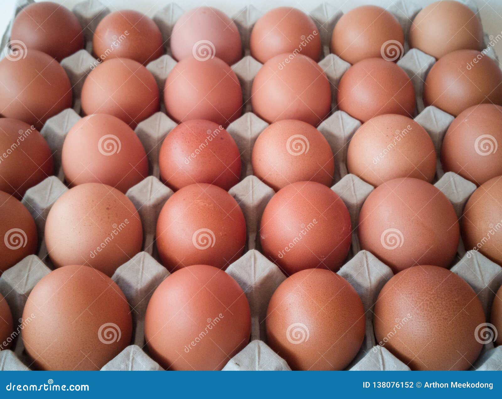Gray Tray of Eggs with Many Eggs Stock Photo Image of freshness