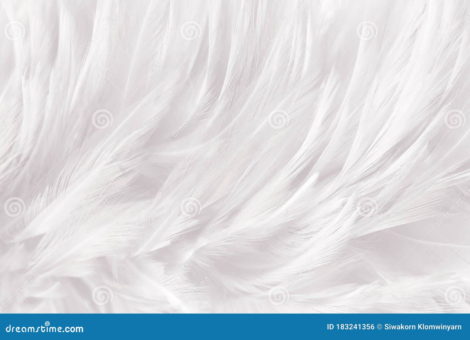 gray and white feathers texture line background