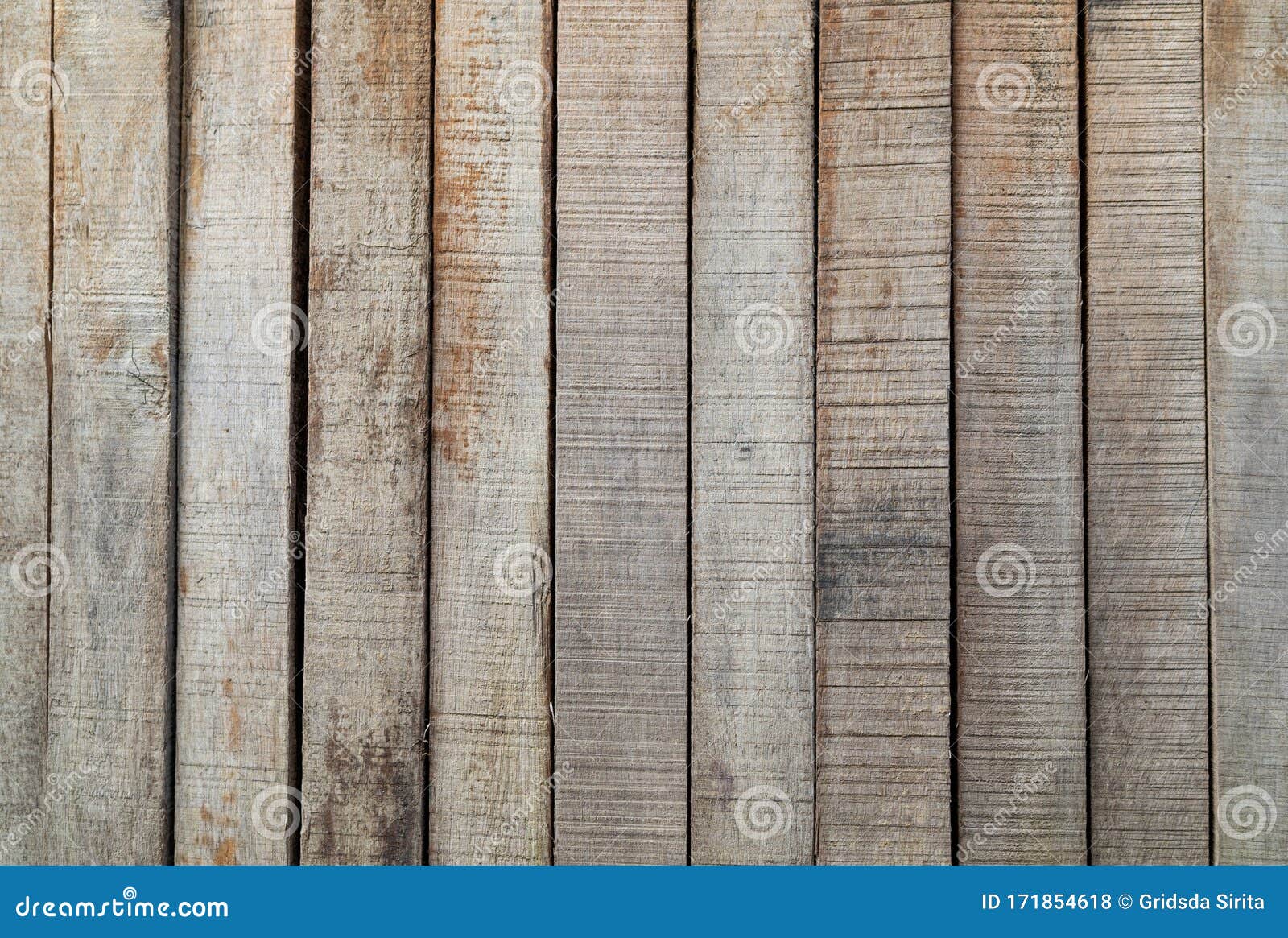 Grey and White Wood Texture Wall Background. it`s Backdrop and Material