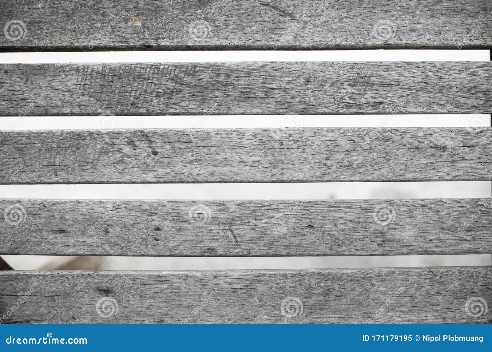 Gray Wood Wall Texture With Natural Patterns Background. Editorial