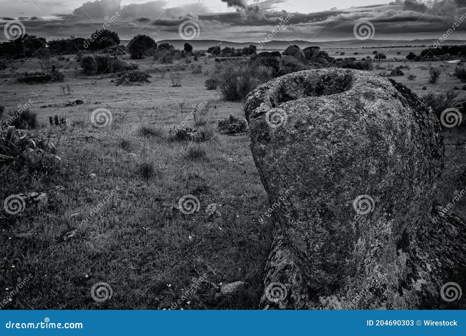 grayscale closeup of the granite rock in malpartida de caceres, extremadura, spain