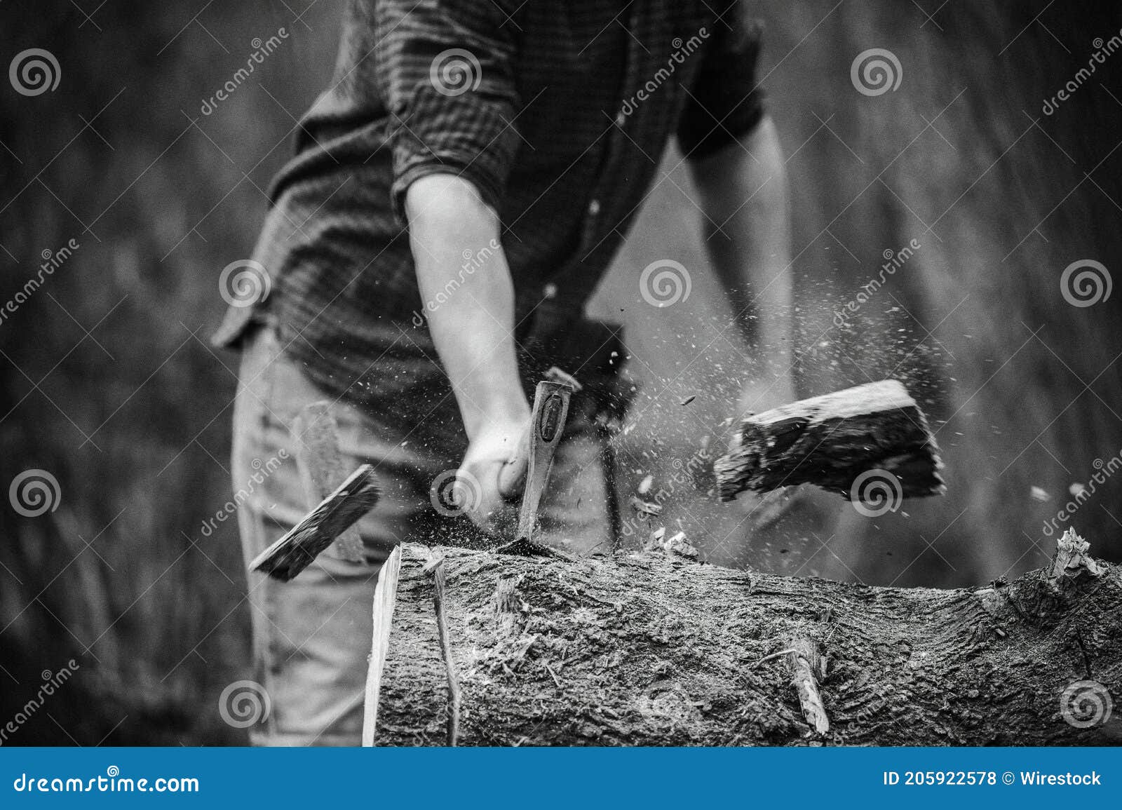 Grayscale Shot of a Lumberjack Cutting a Tree Log with a Hatchet Stock