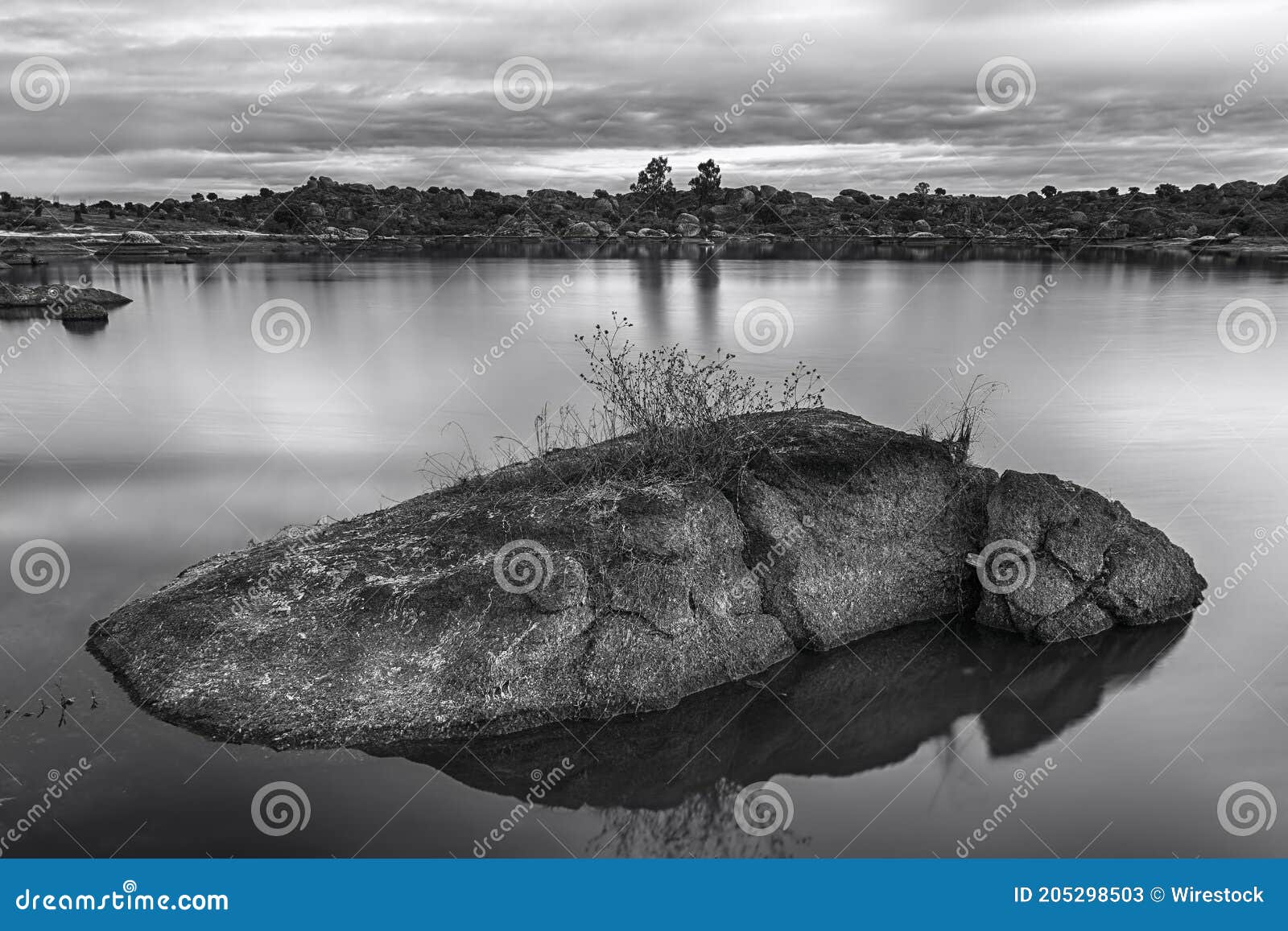 grayscale shot of the natural area of marruecos, spain