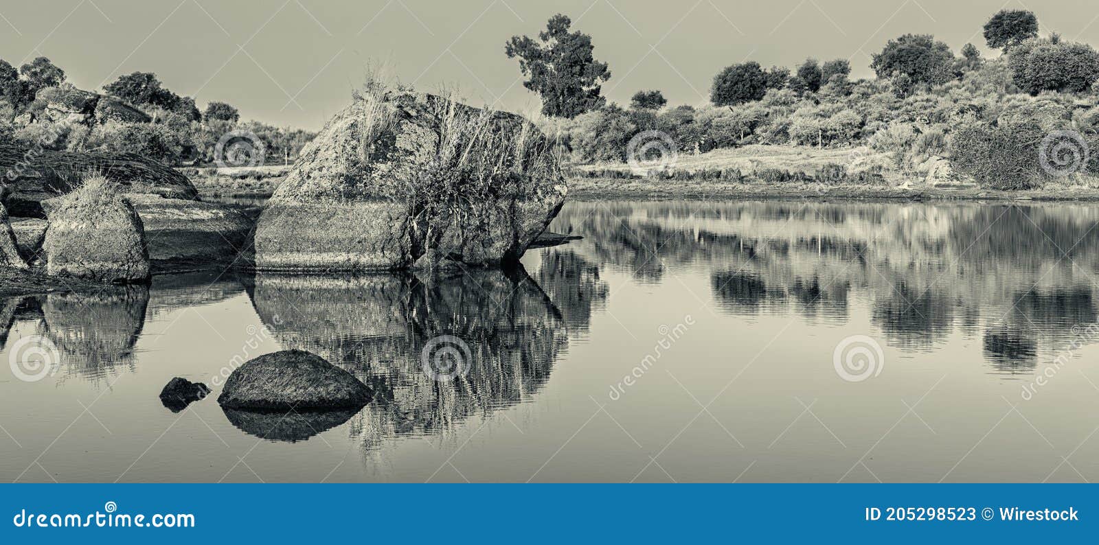 grayscale shot of the natural area of marruecos, spain