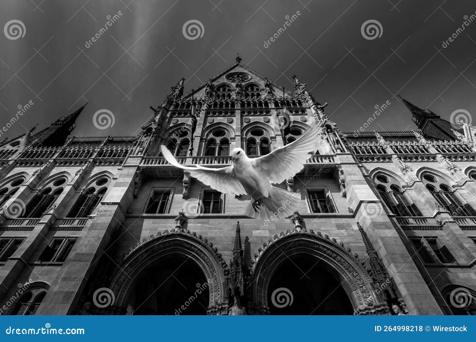 grayscale shot of a pigeon flying in front of the parlamento budapest - up in the air.