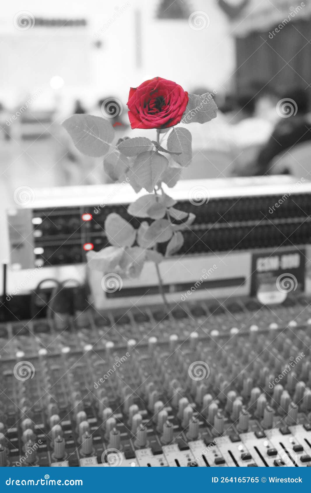 Grayscale Shot of a Red Rose on a Sound Engineering Equalizer Stock
