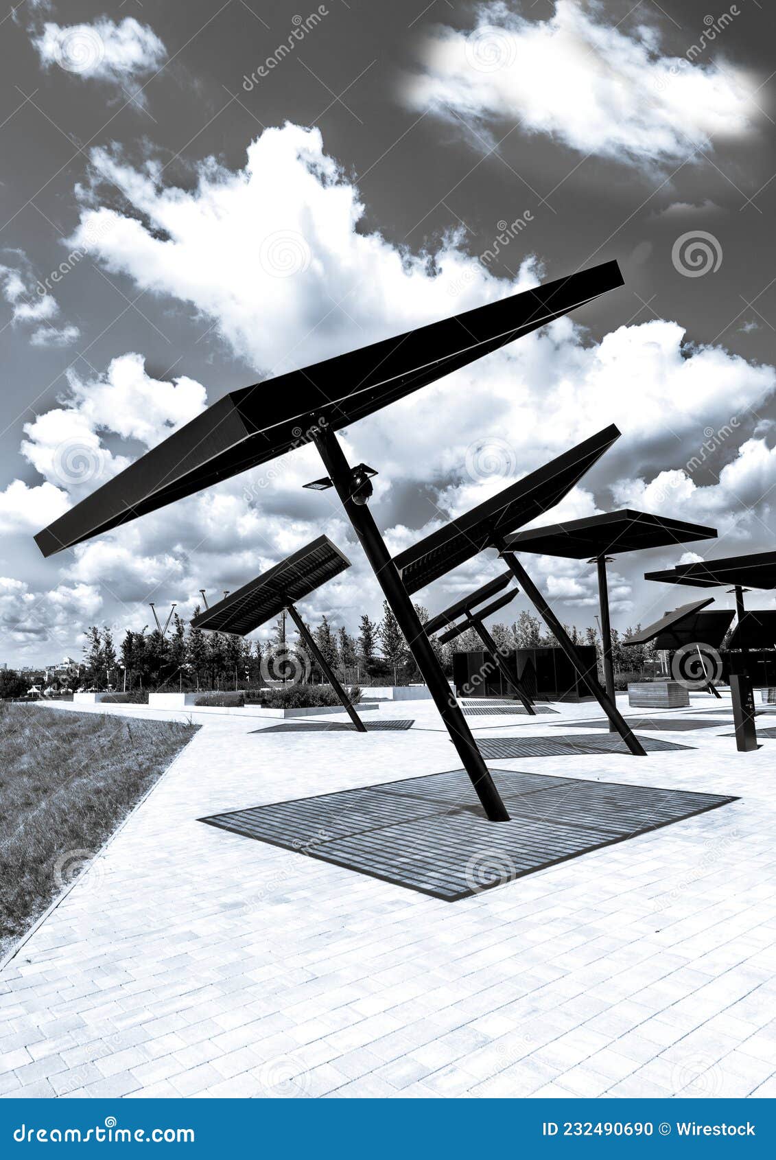 Grayscale of Solar Panels in a Pa Stock Photo Image of environment