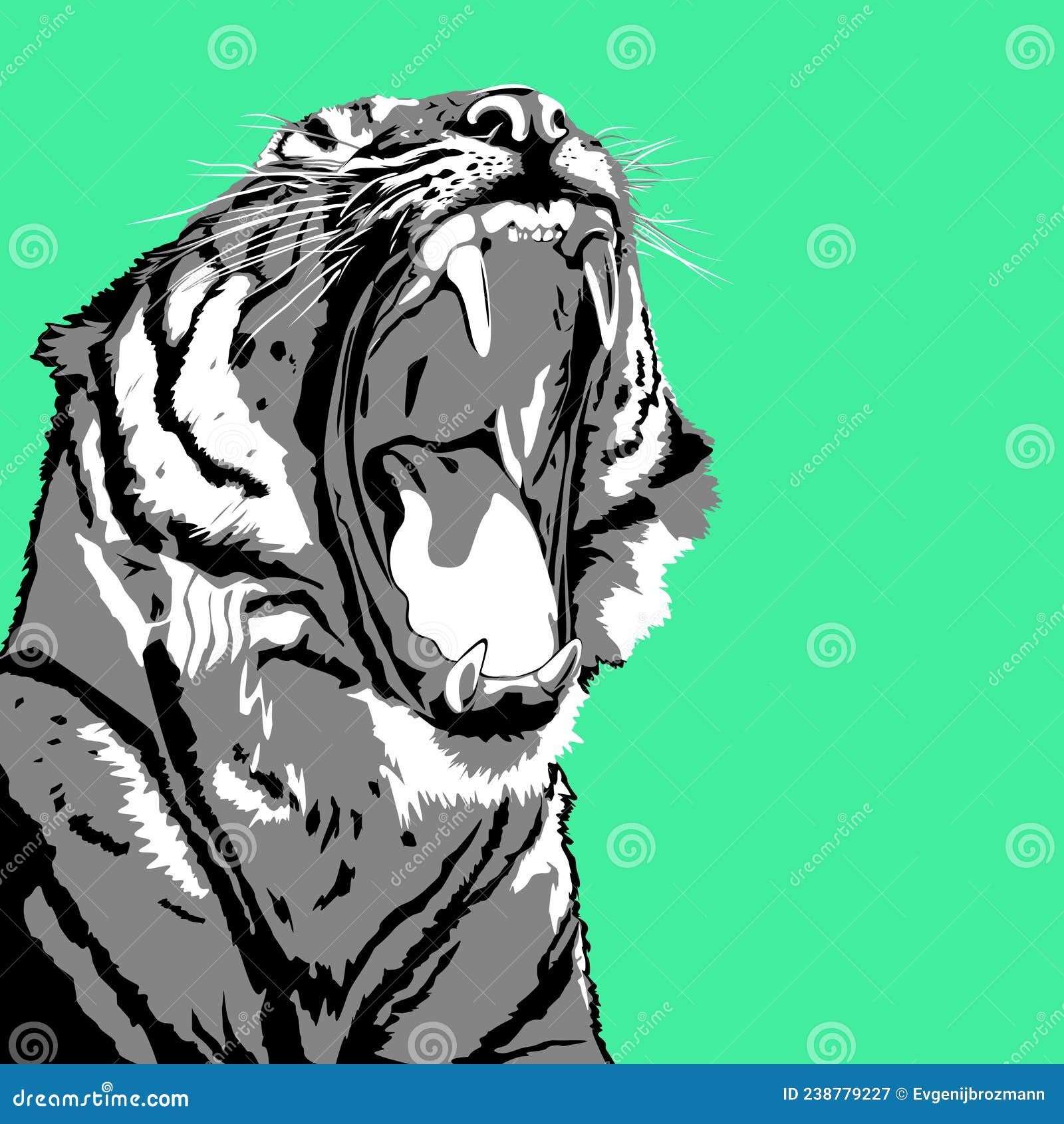Tiger Head Multicolored Sketch Indian Amur Tiger Drawing Markers Pop Stock  Vector by ©Rant_Goi 305945880