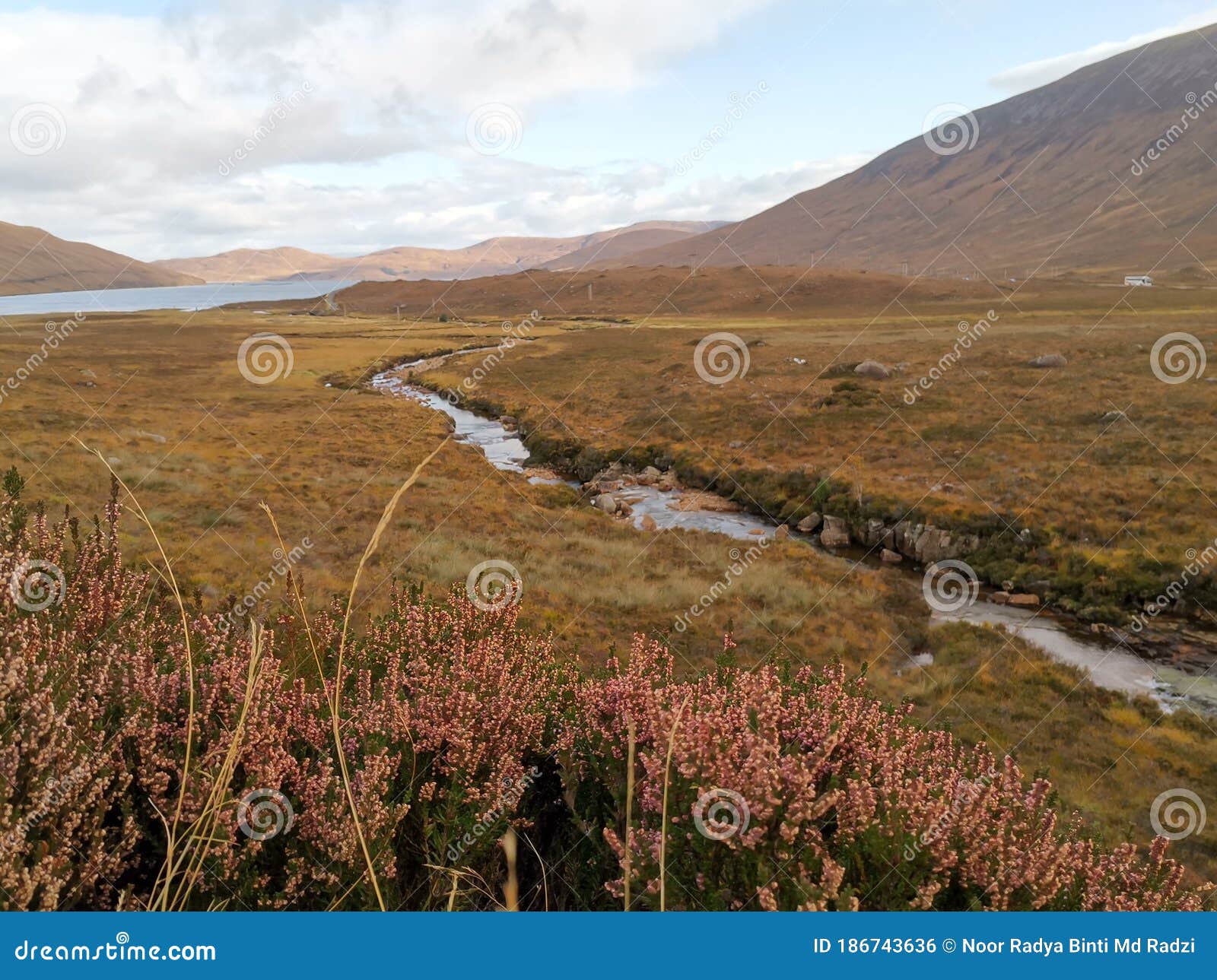 graze land in autumn colors near loch ainort in isle of skye, united kingdom.