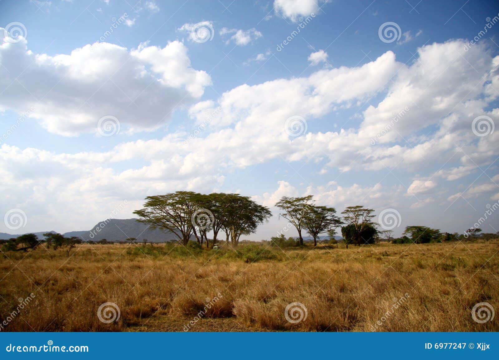 great africa savanna landscape