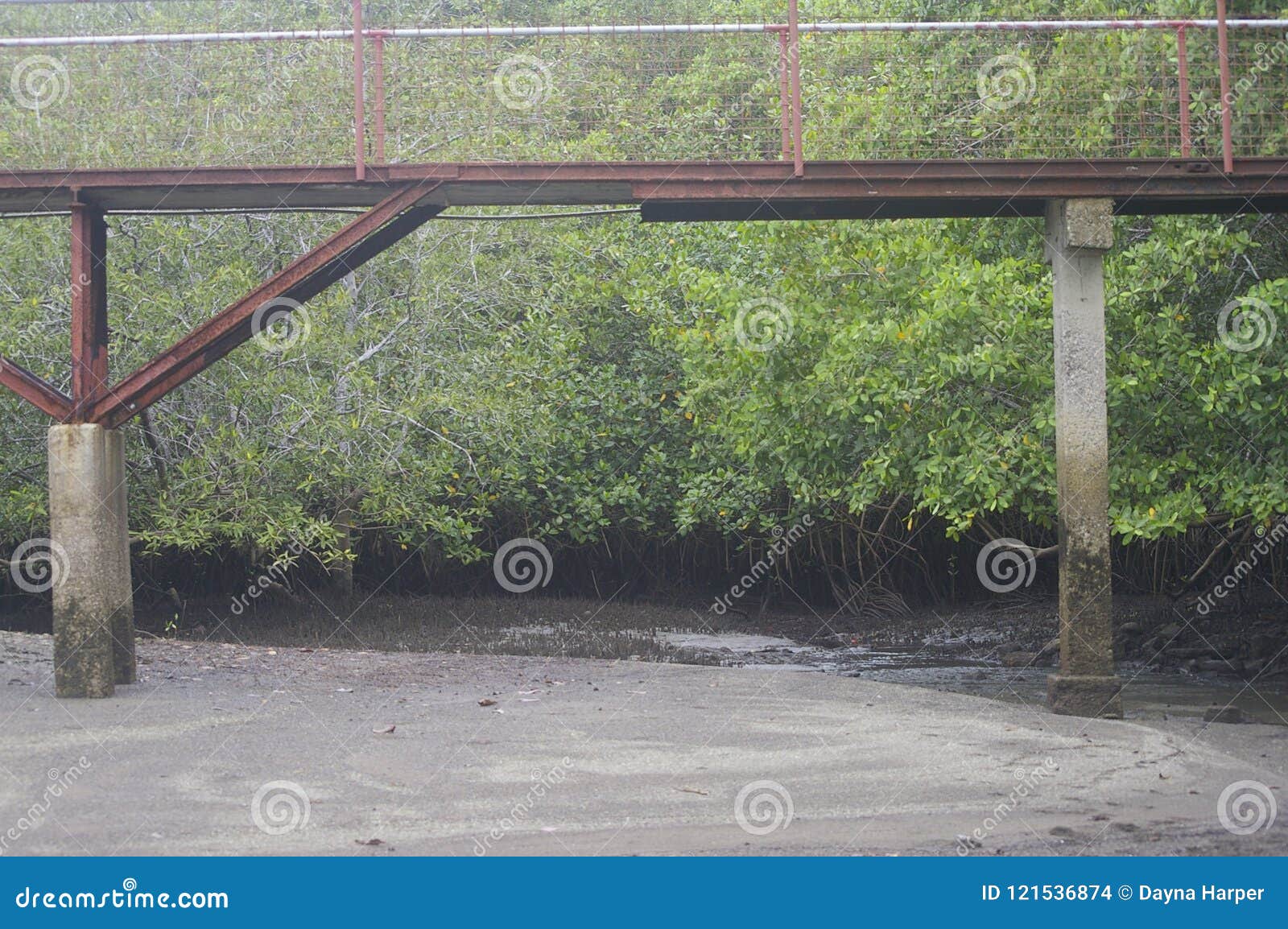 walking bridge over river