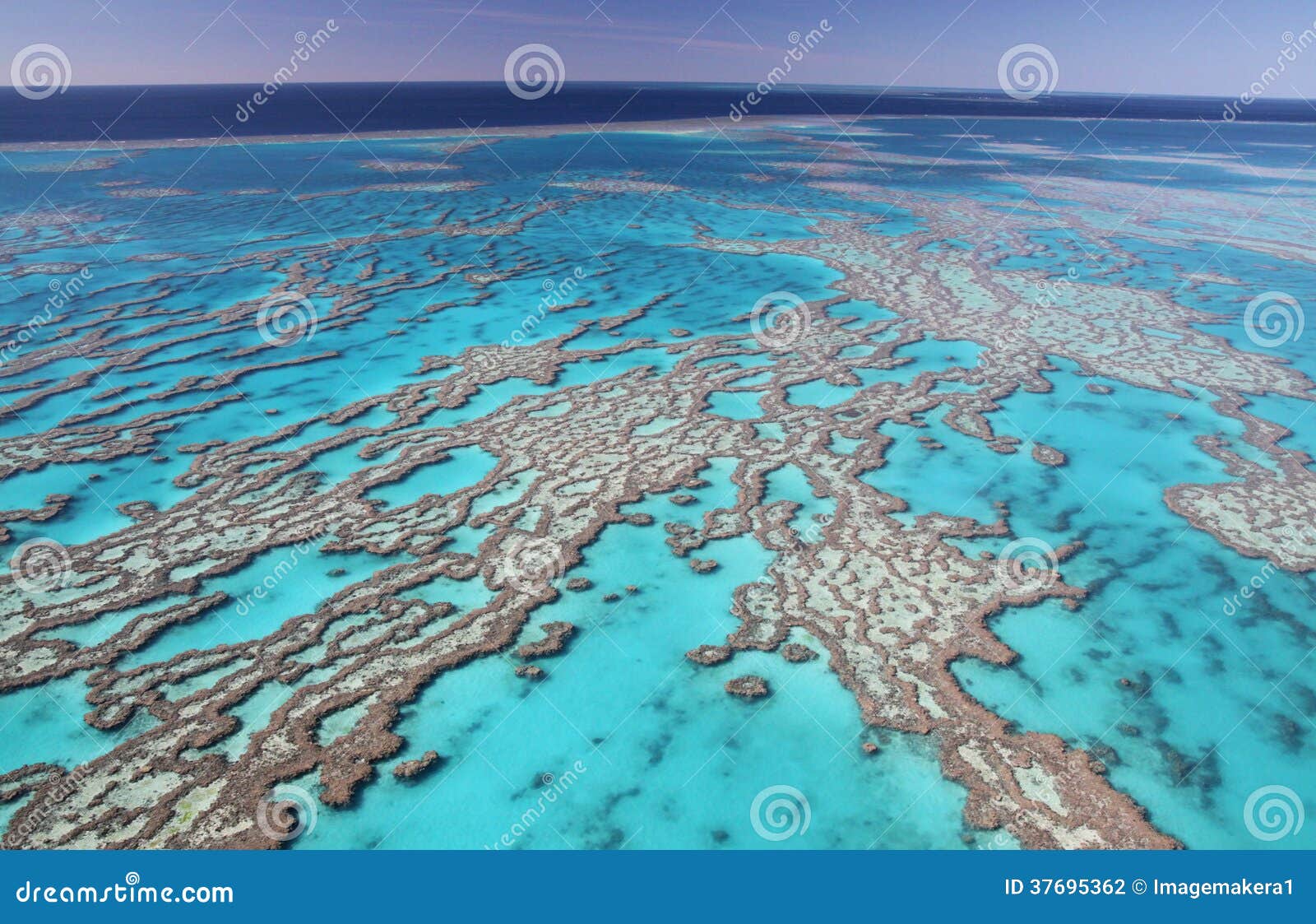 great barrier reef