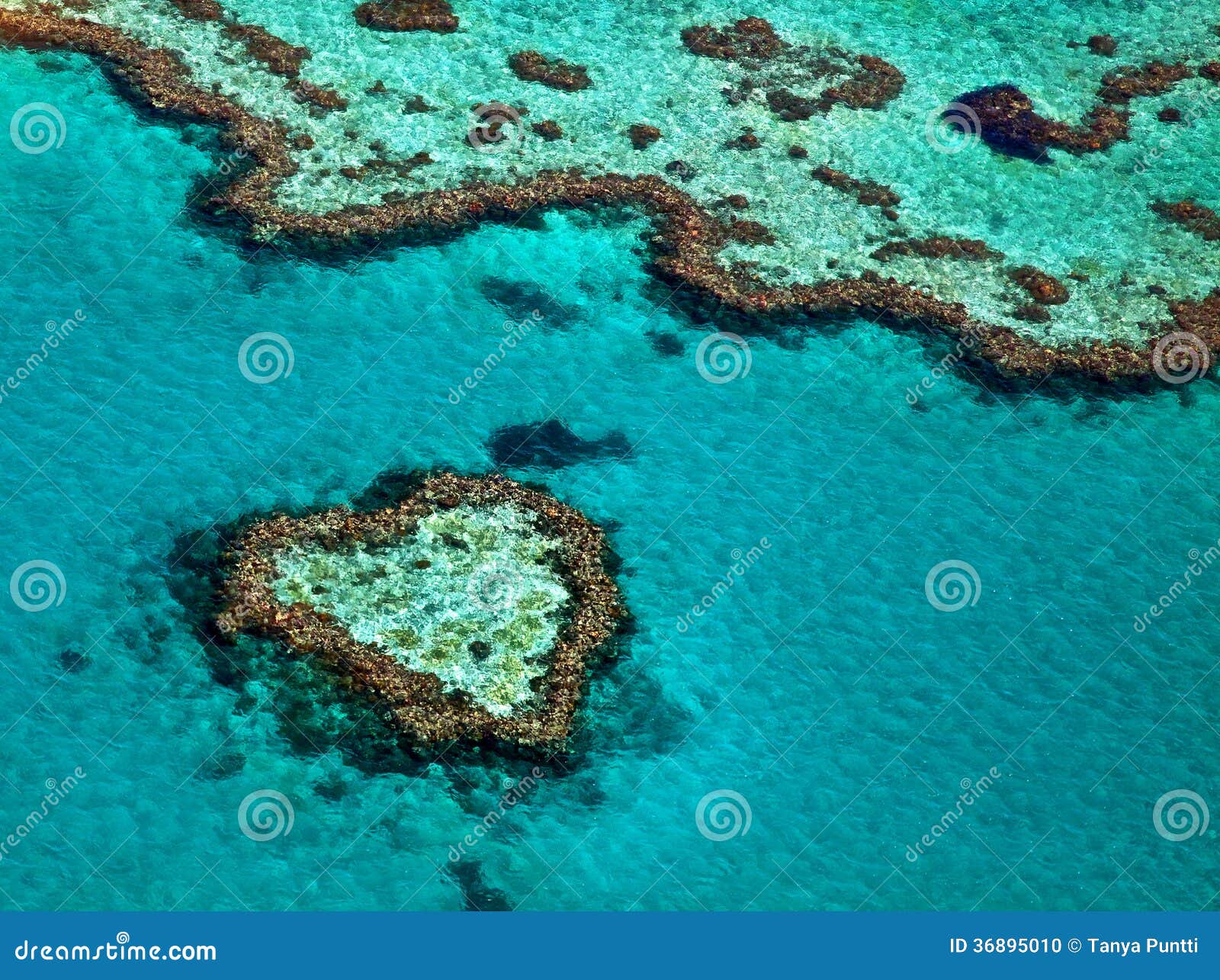 great barrier reef