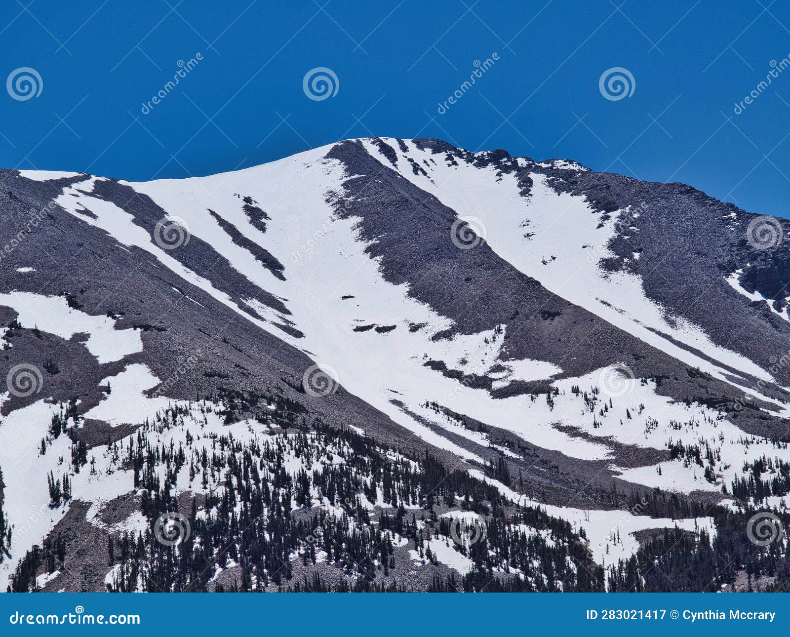 Great Basin National Park in Nevada Stock Image - Image of basin, snowy ...