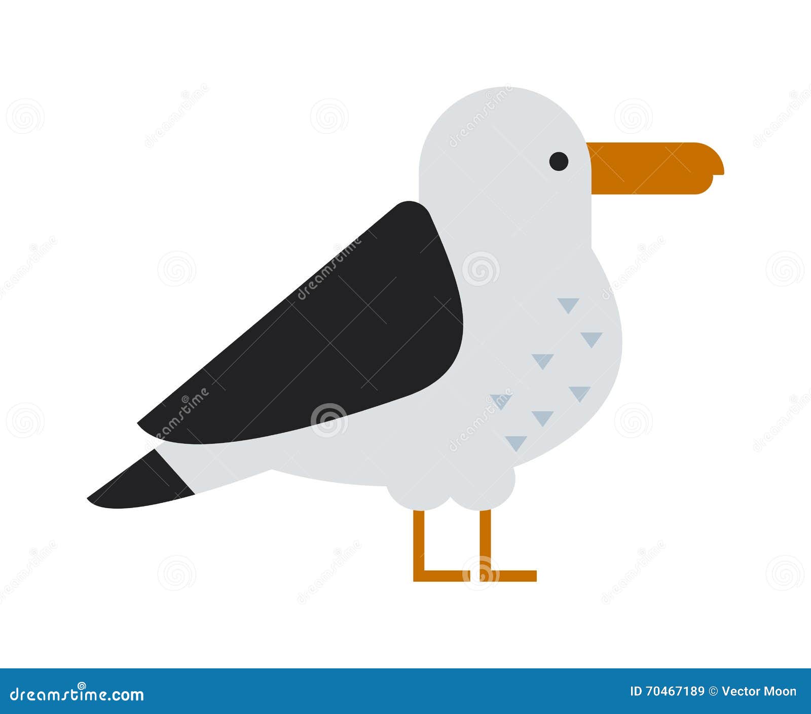 great black-backed gull larus marinus sea wildlife animal and beautiful bird flat .