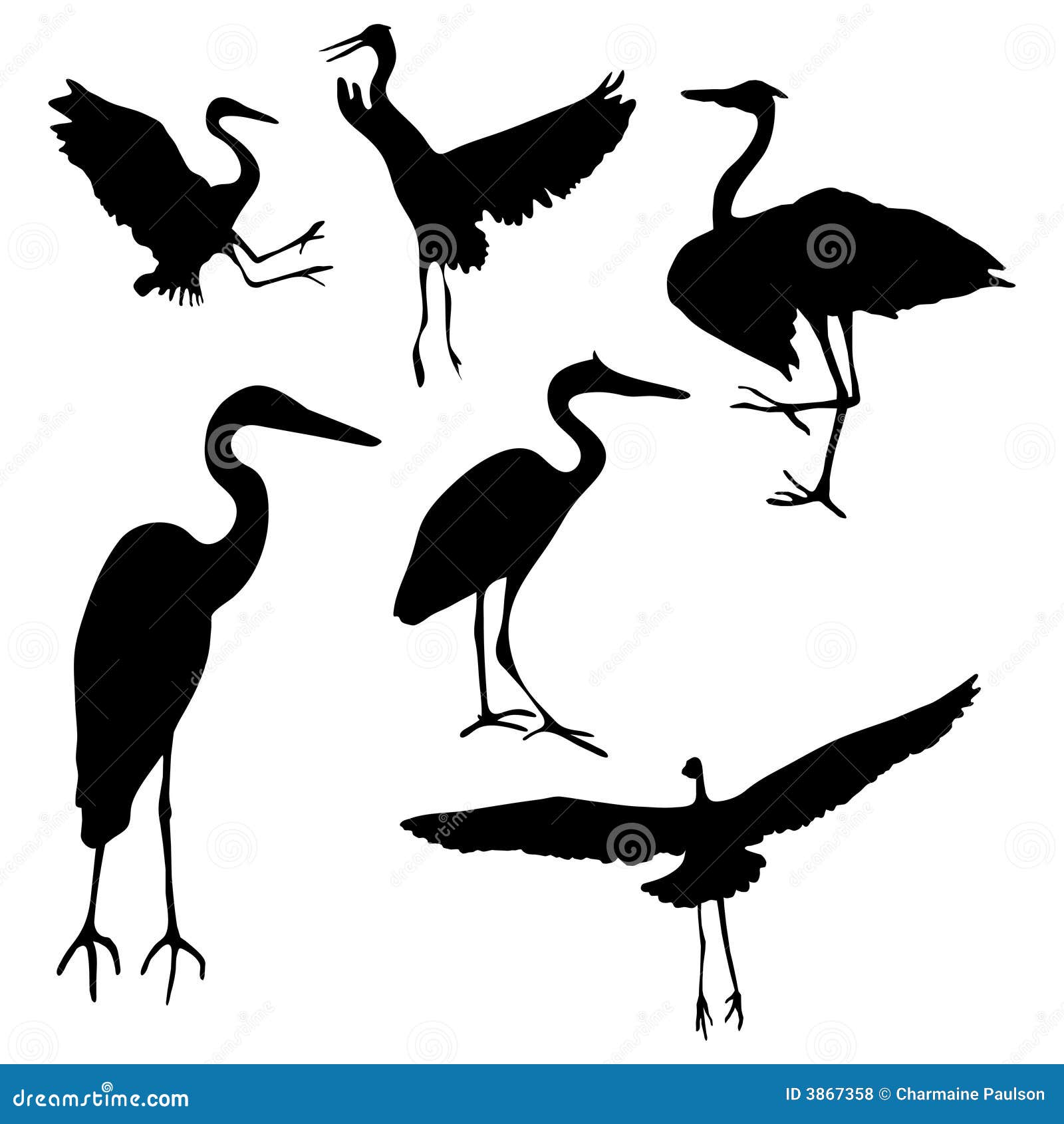 Great Blue Heron Collection Stock Vector Illustration of group, bird