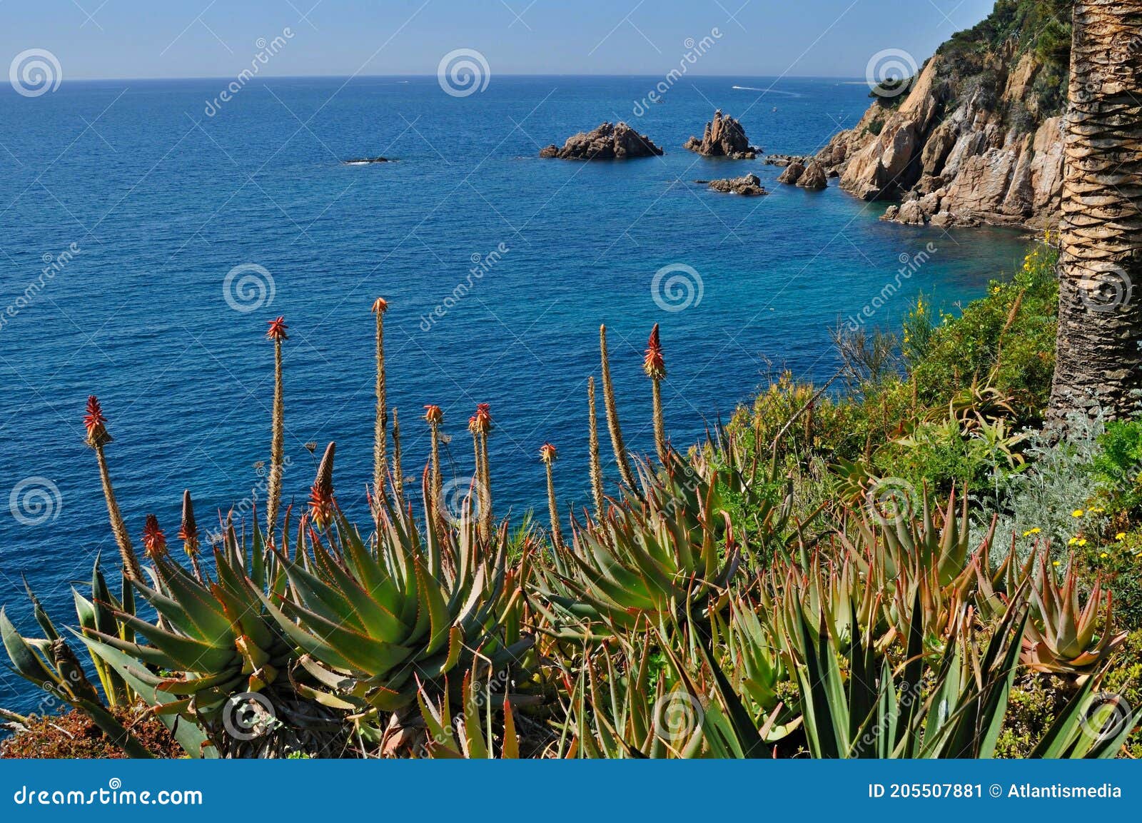 costa brava - mediterranien coastline in spain