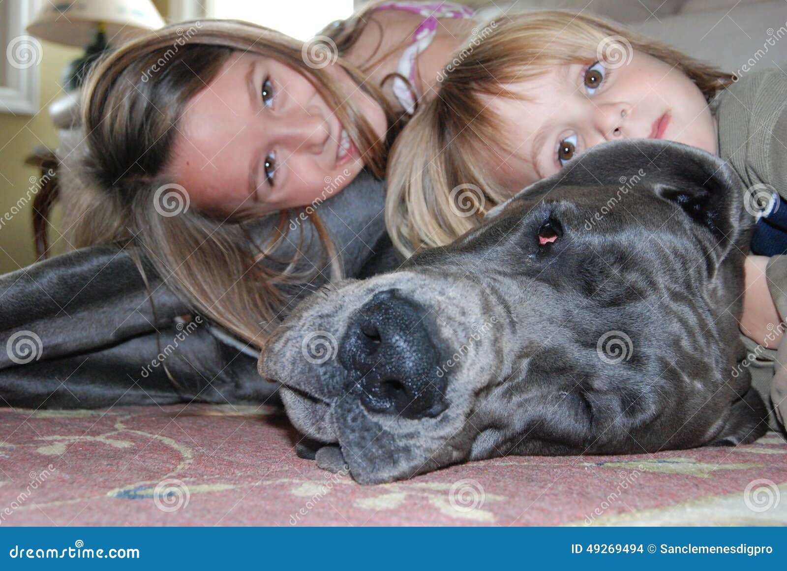 Great dane with kids stock photo. Image of snout, charcoal 49269494