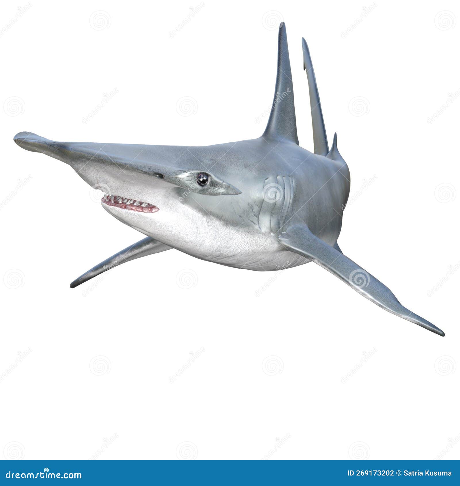 3D Rendering Hammerhead Shark On White Stock Photo | CartoonDealer.com ...