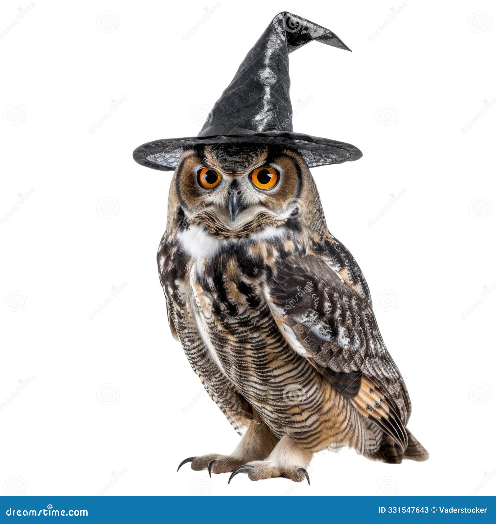 a great horned owl dressed in a witch's hat