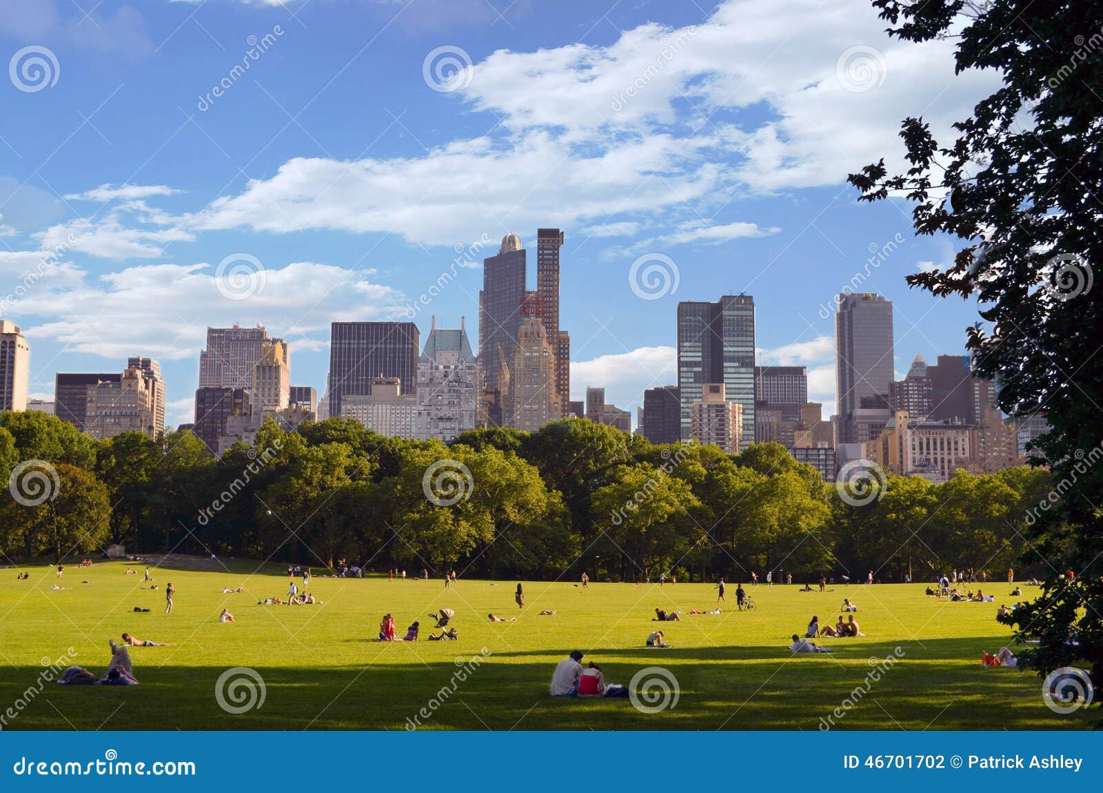 Great Lawn of Central Park stock photo. Image of city 46701702