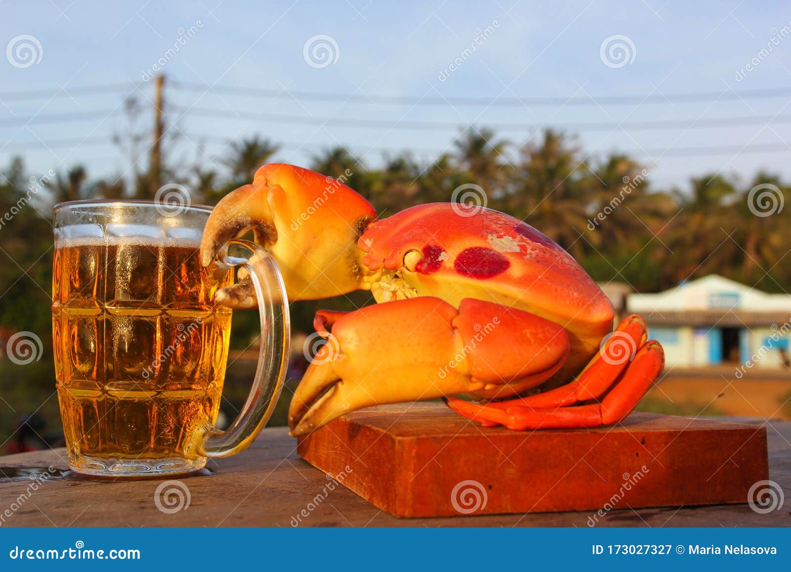 Great Moon Crab and Beer Mug Stock Image Image of clay, great 173027327