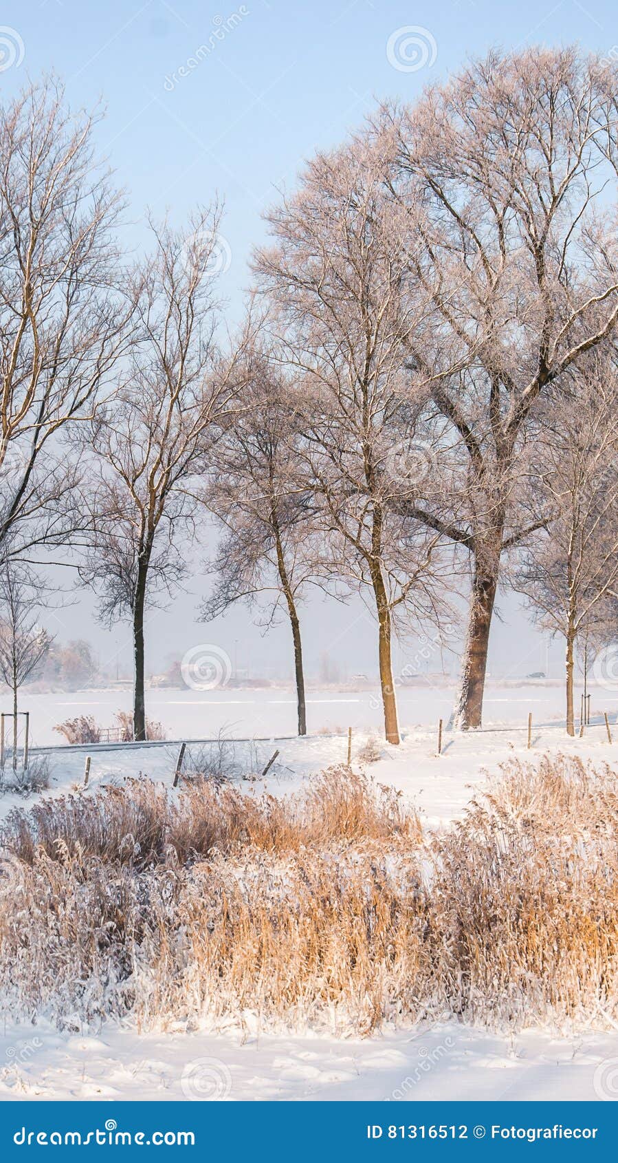 great nice cozy winter landscape in the netherlands